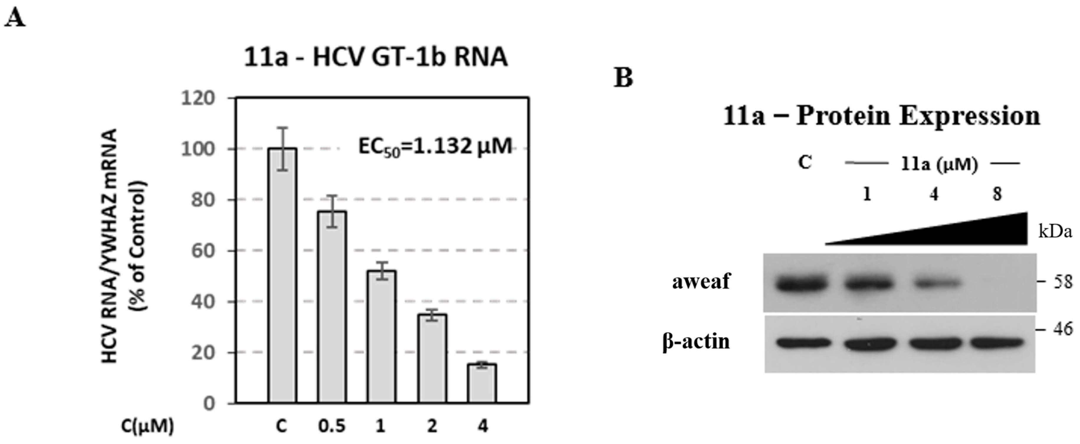 Viruses 14 02767 g004 Viruses 14 02767 g004