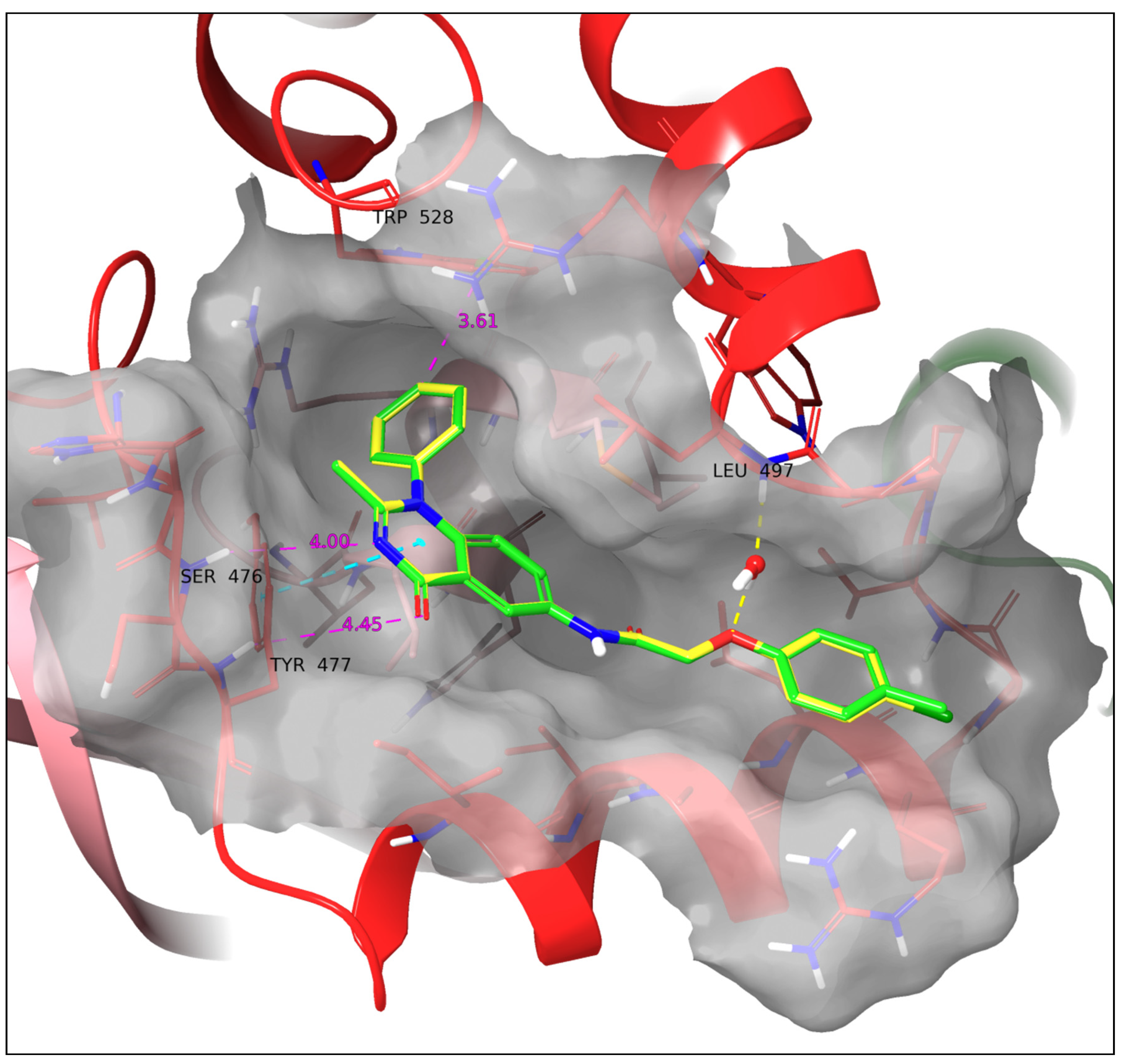 洋書 BIOREVERSIBLE CARRIERS IN DRUG DESIGN 洋書 BIOREVERSIBLE CARRIERS IN DRUG DESIGN