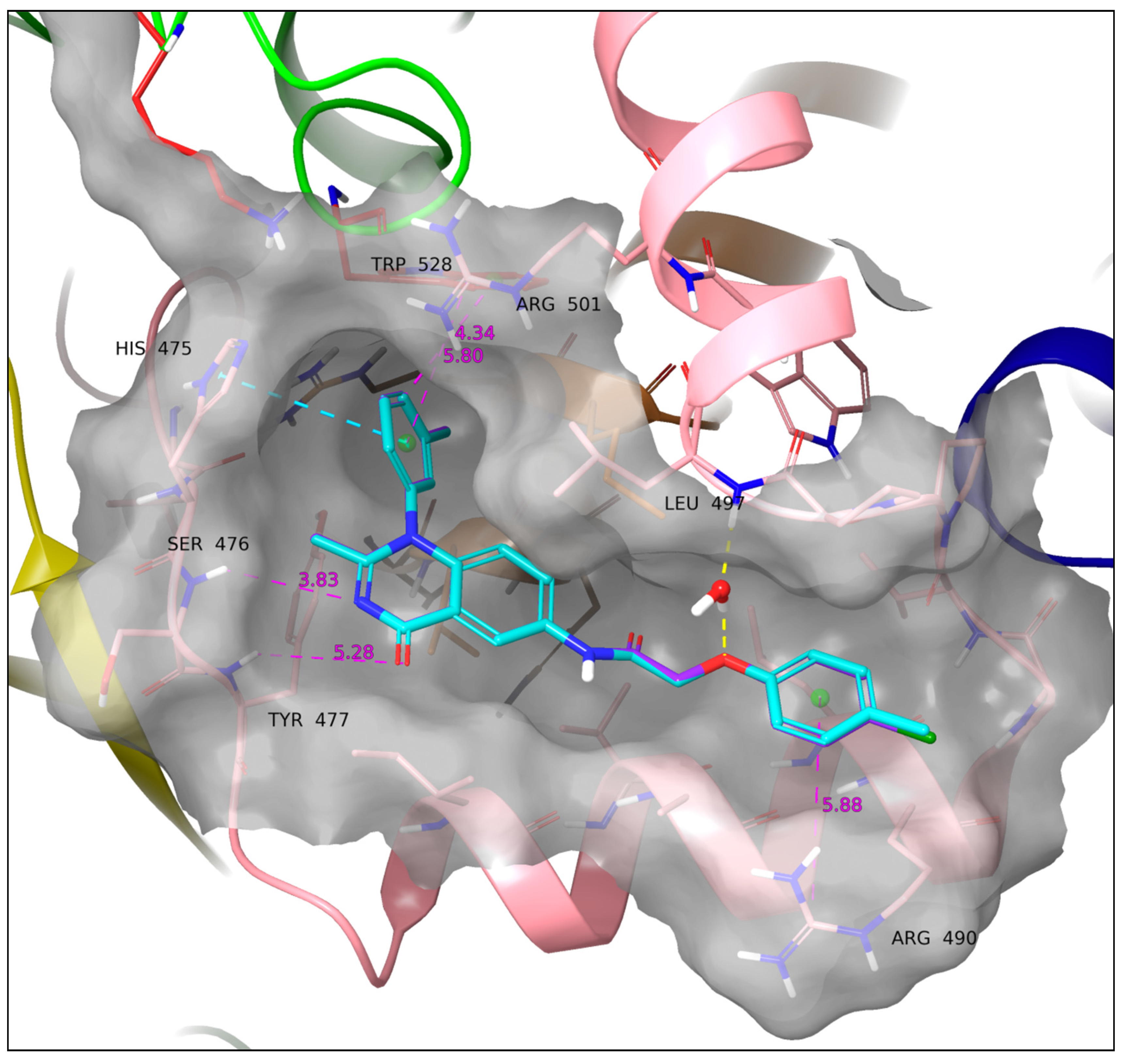 Viruses 14 02767 g009 Viruses 14 02767 g009