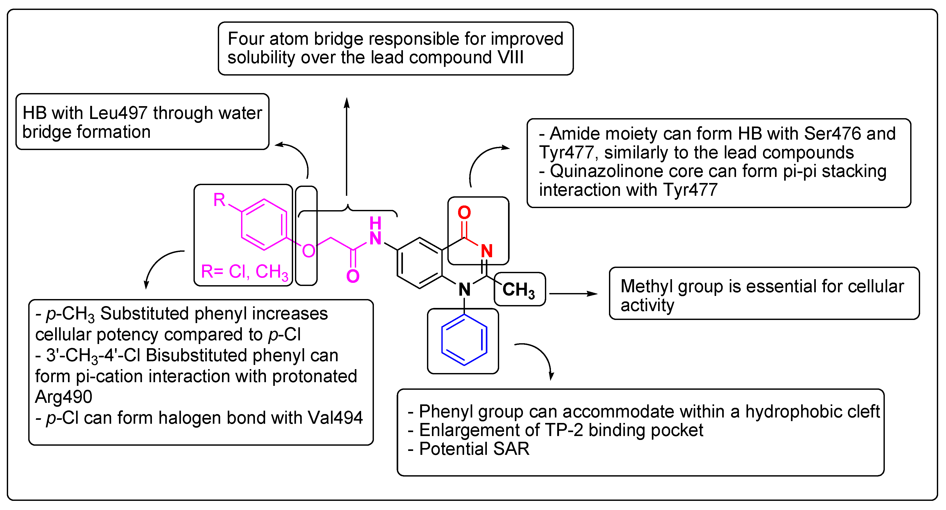 Viruses 14 02767 g011 Viruses 14 02767 g011