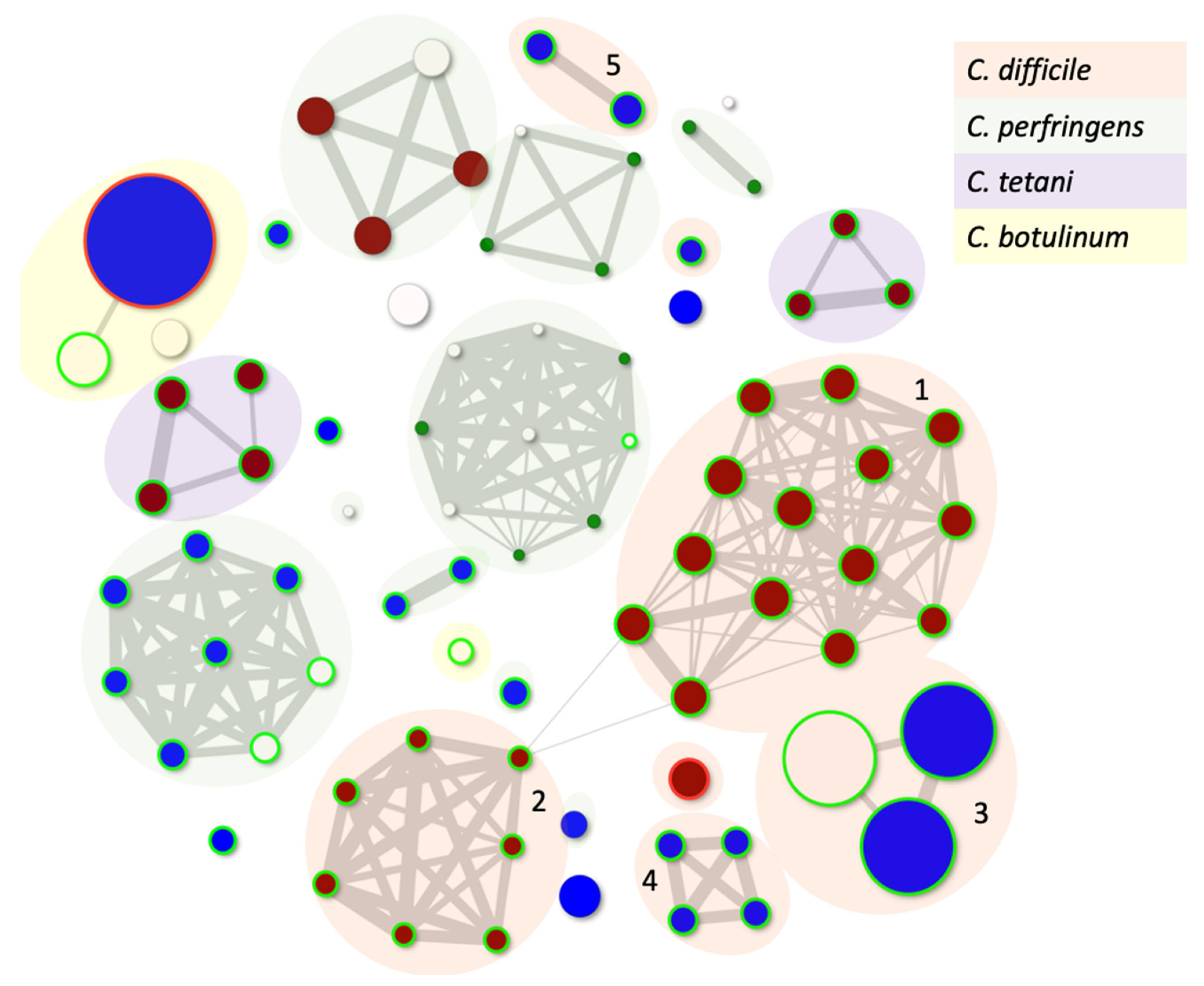 Viruses 14 02772 g001 Viruses 14 02772 g001