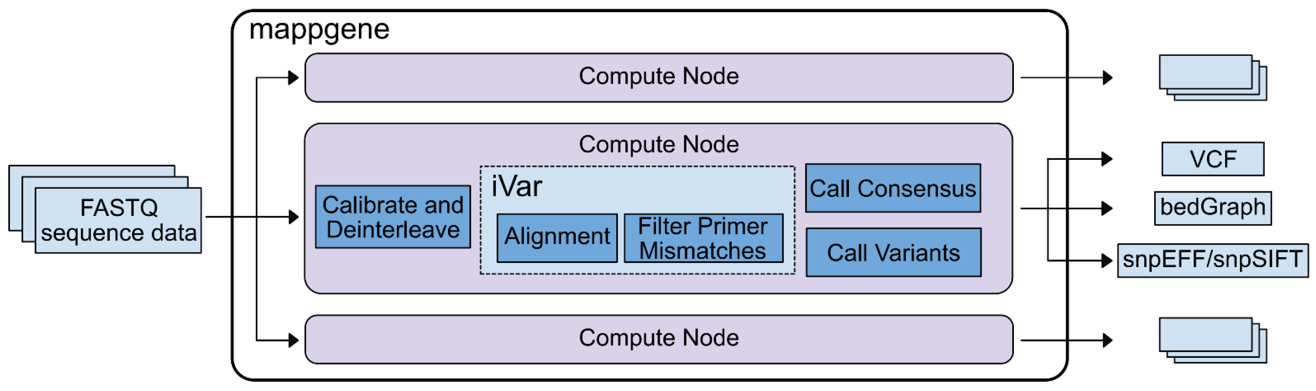 Viruses 14 02775 g001