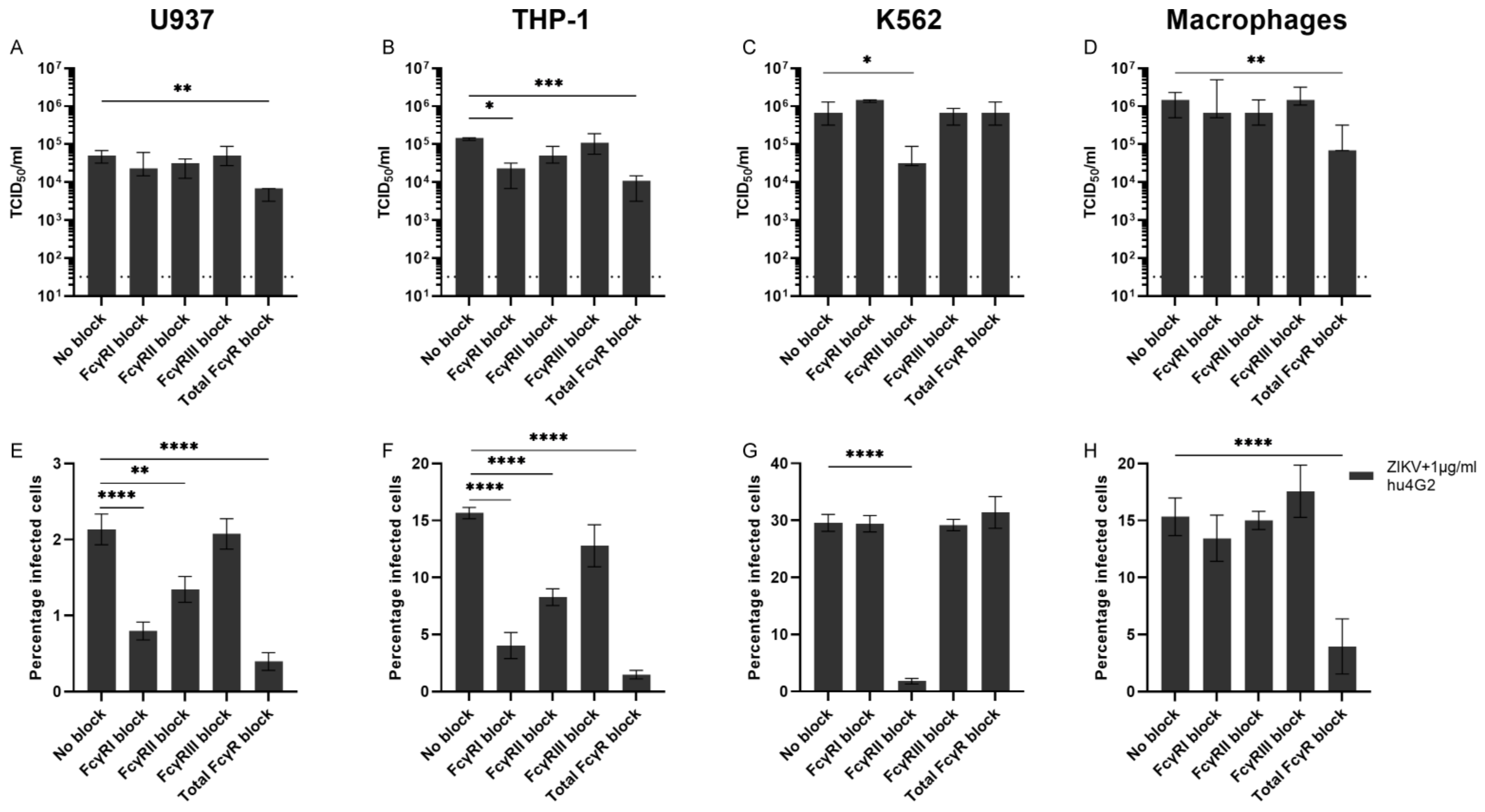 Viruses 14 02776 g004 Viruses 14 02776 g004