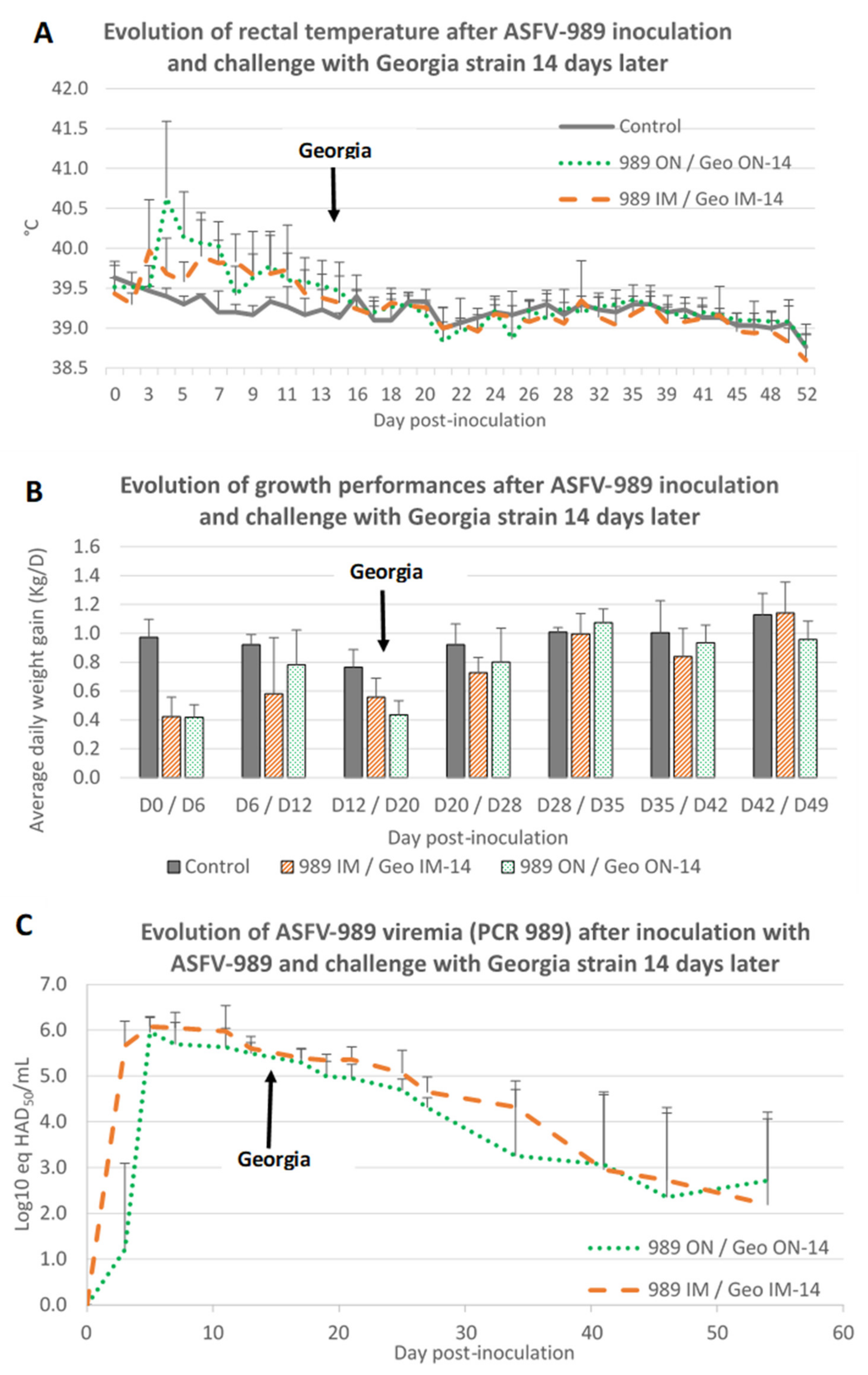 Viruses 14 02777 g007 Viruses 14 02777 g007