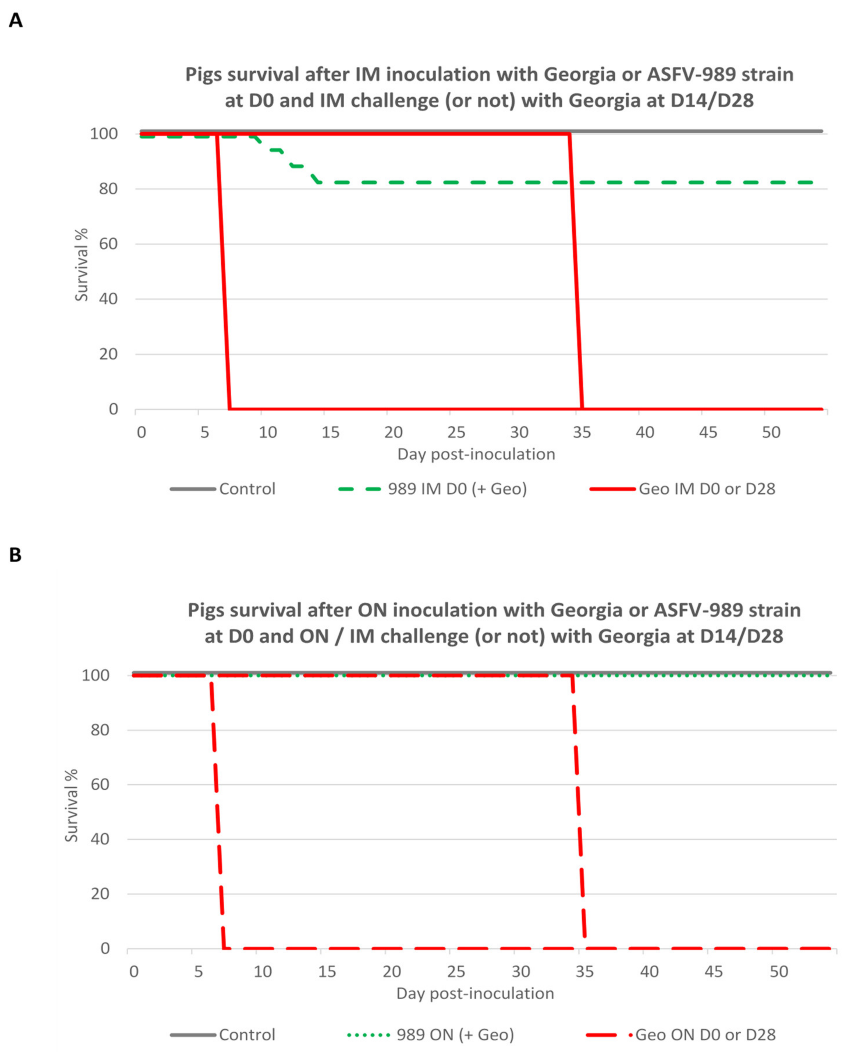 Viruses 14 02777 g008 Viruses 14 02777 g008