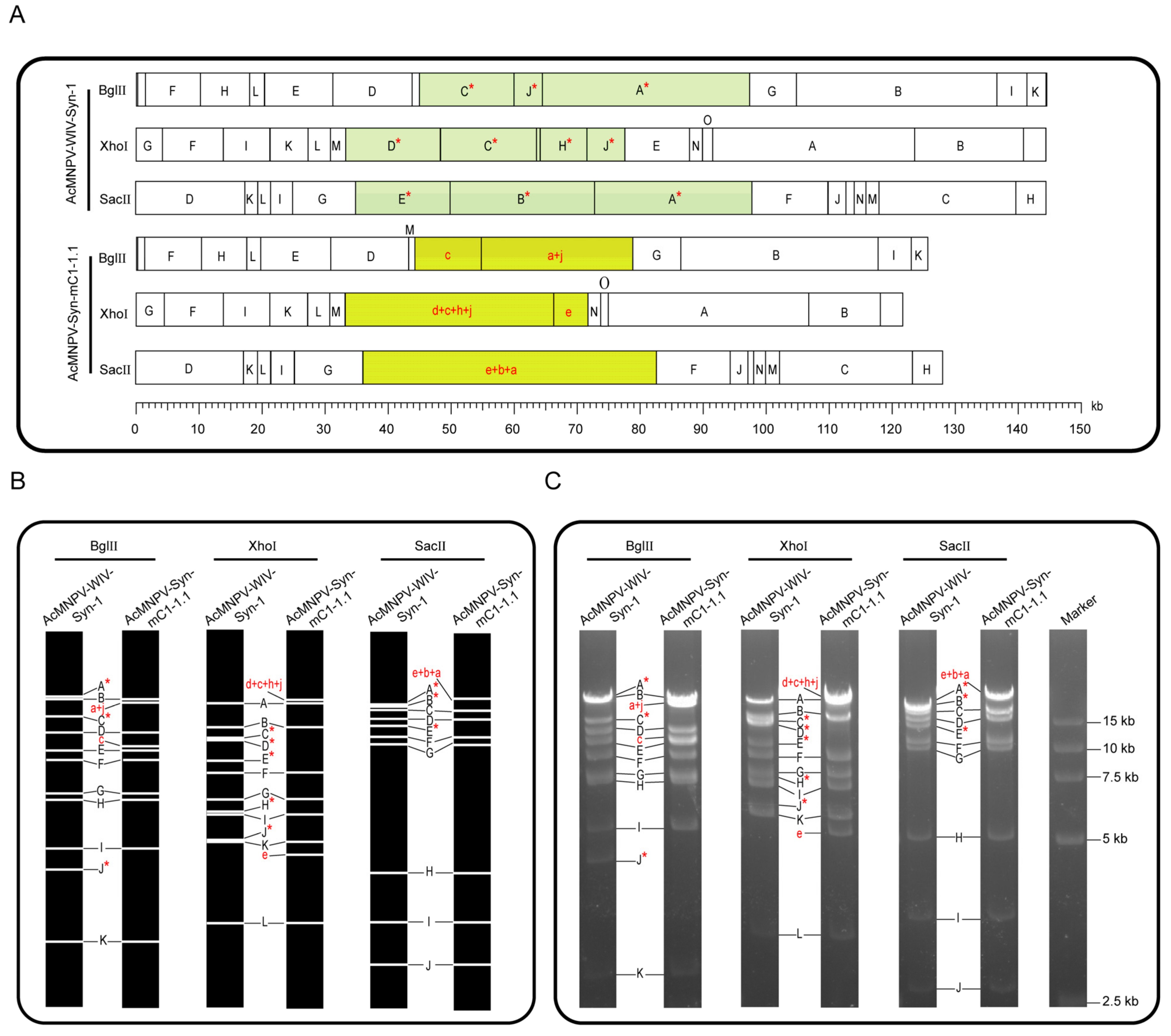 Viruses 14 02780 g004