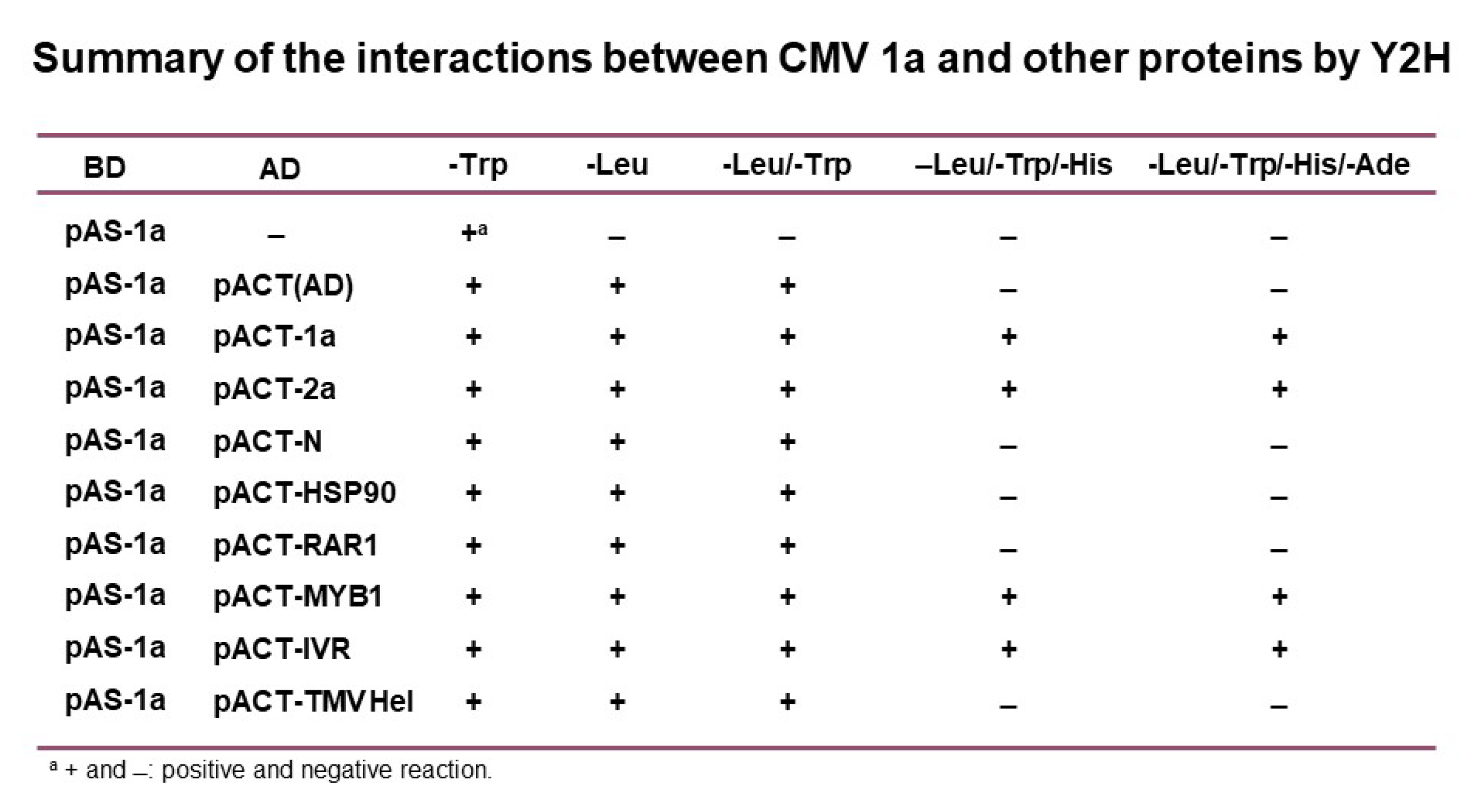 Viruses 14 02782 g001