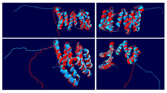 The Secret Life of the Inhibitor of Virus Replication