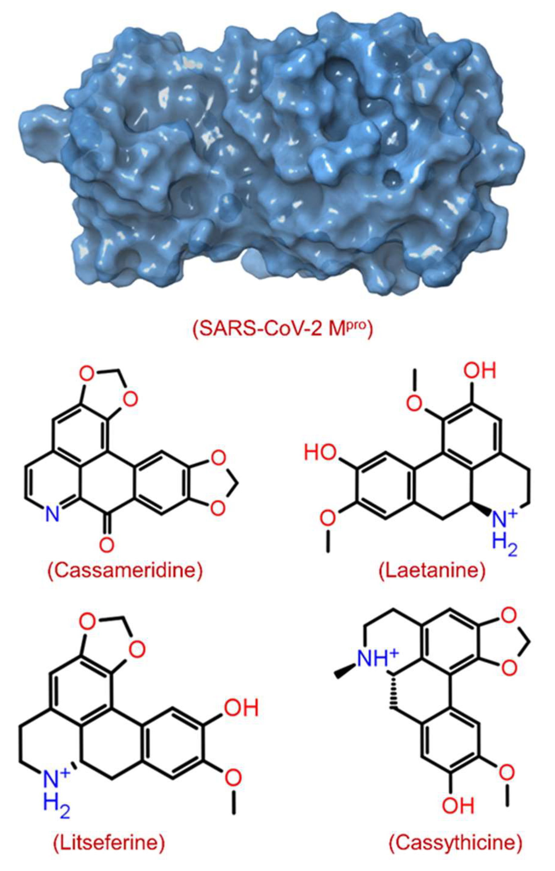 Viruses 14 02783 g001 Viruses 14 02783 g001