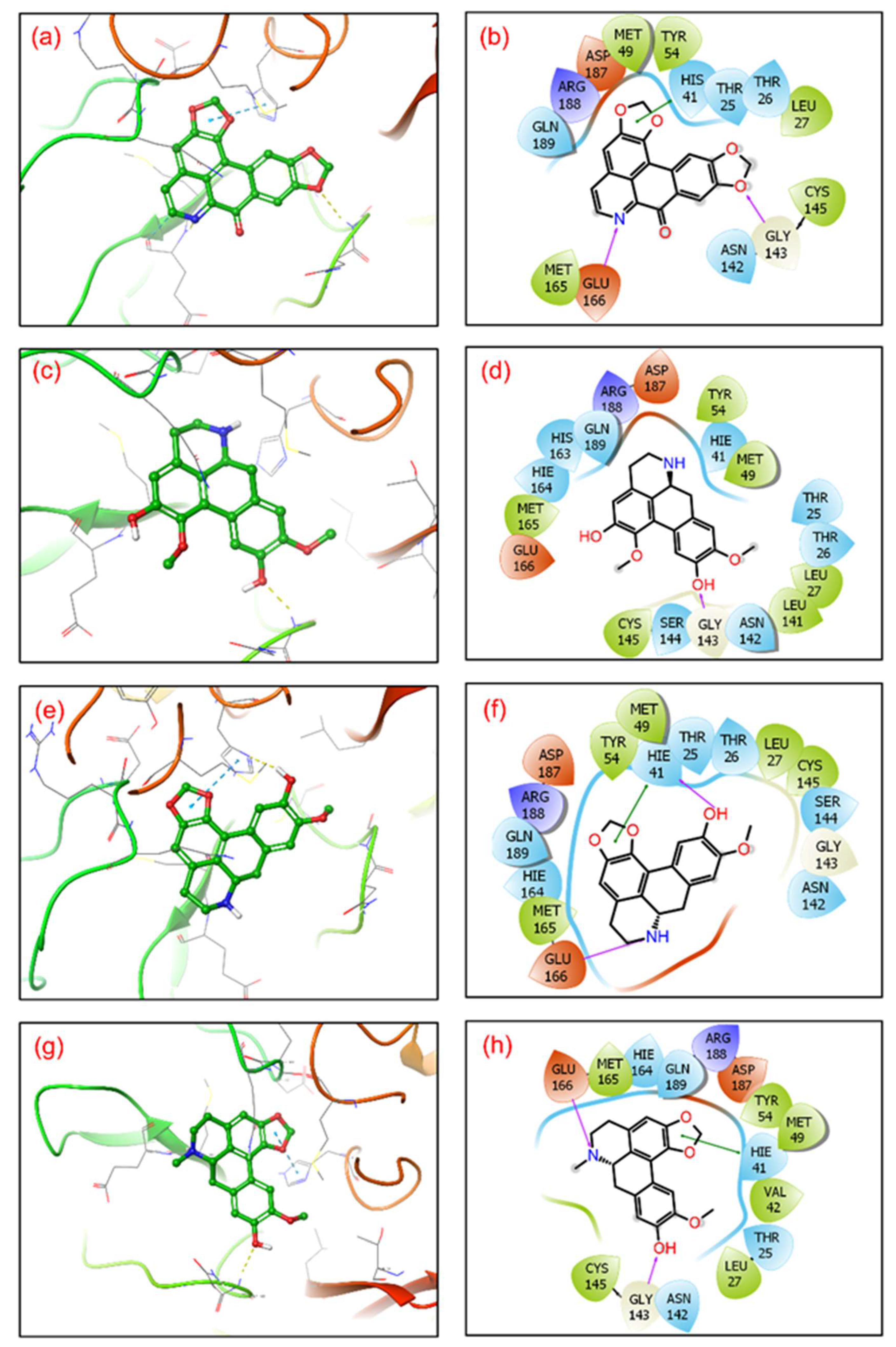 Viruses 14 02783 g002 Viruses 14 02783 g002