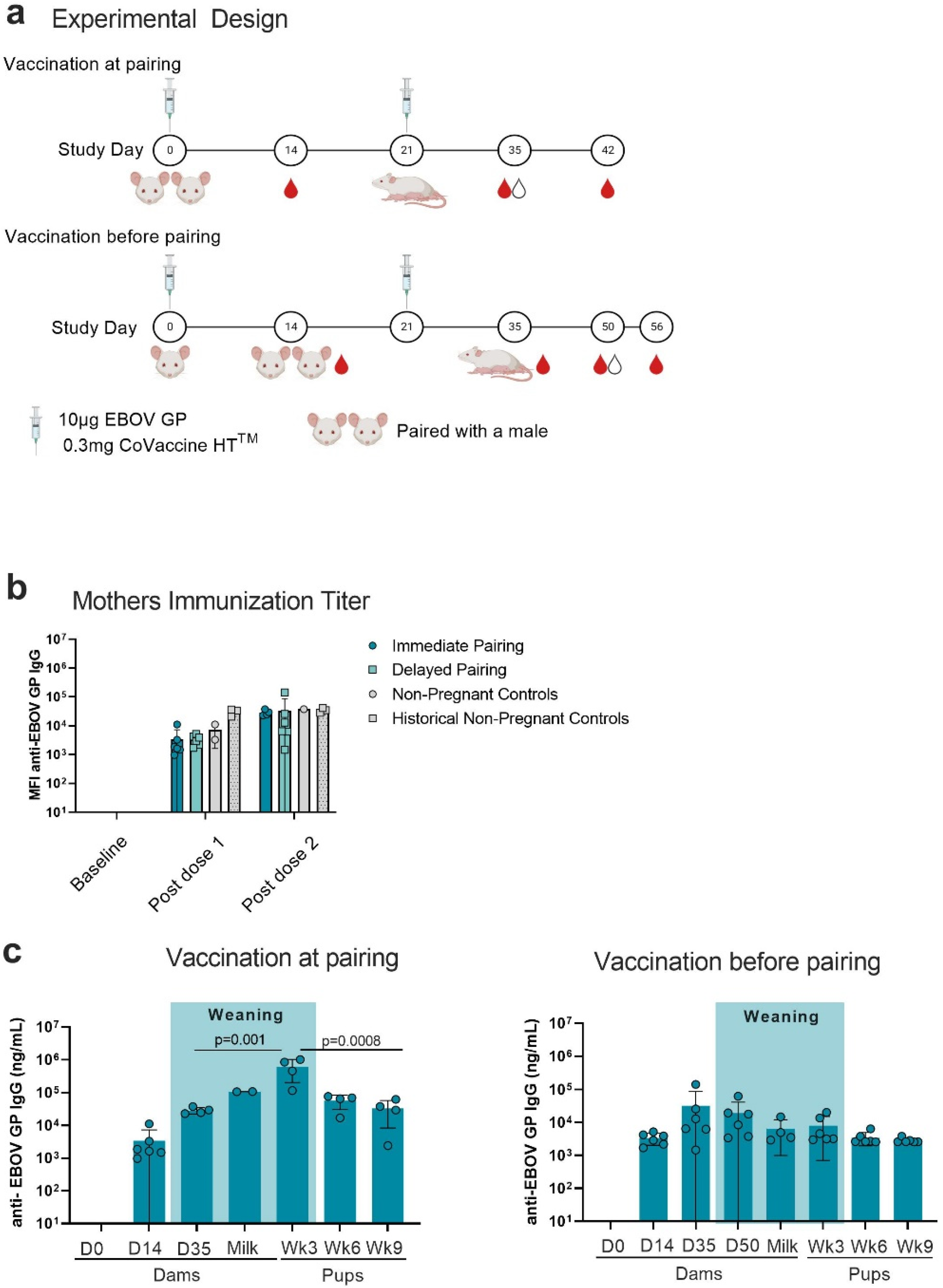 Viruses 14 02784 g001