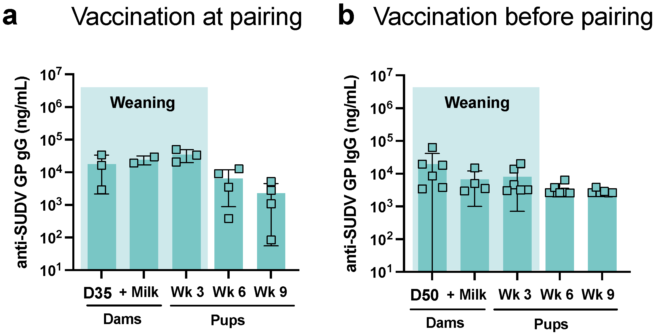 Viruses 14 02784 g002