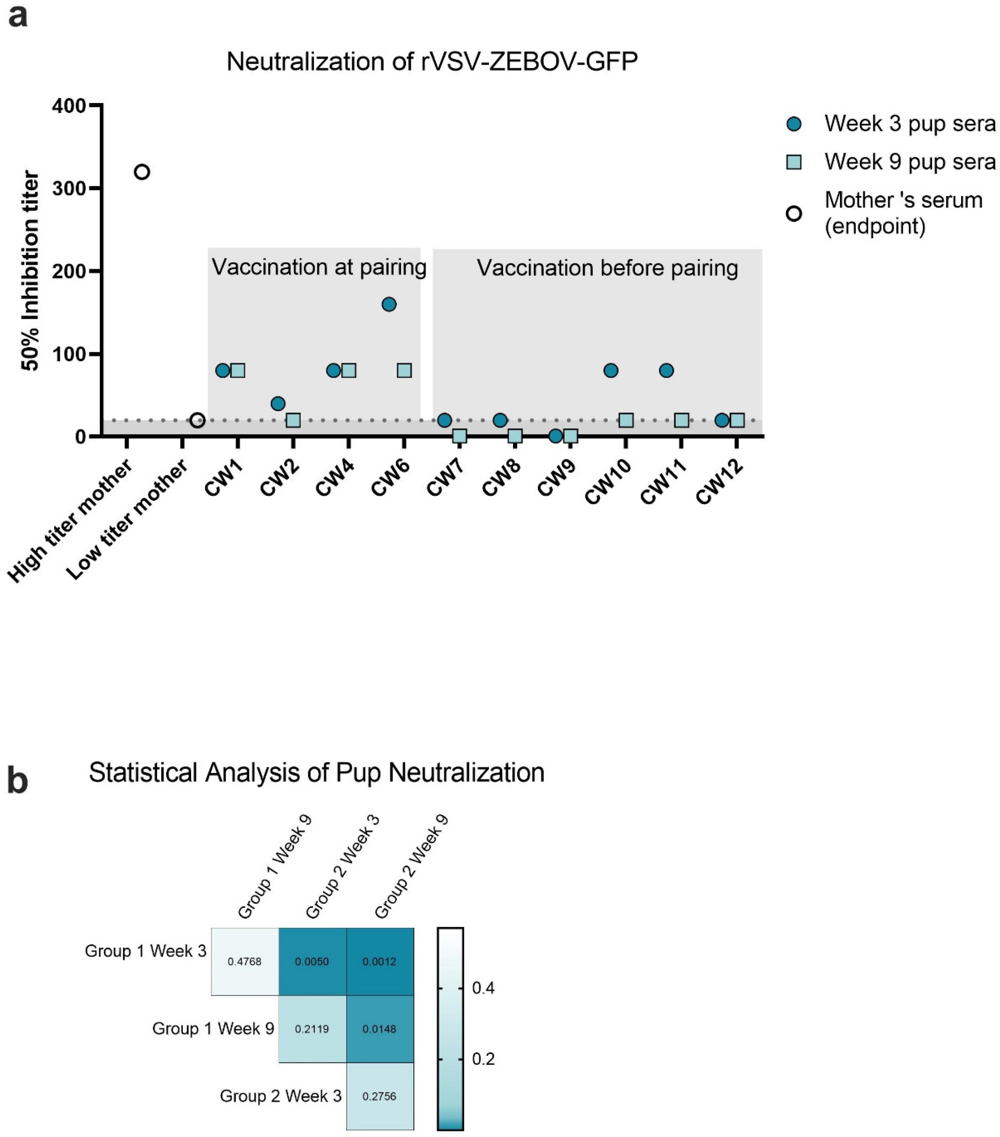 Viruses 14 02784 g004