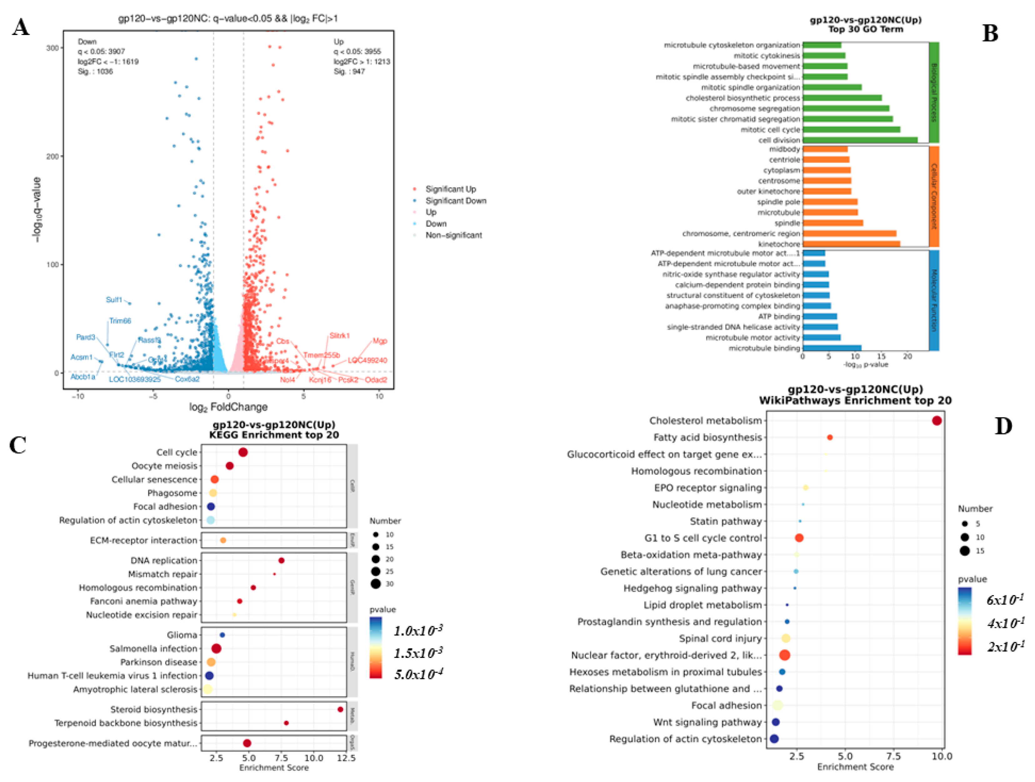 Viruses 14 02793 g003