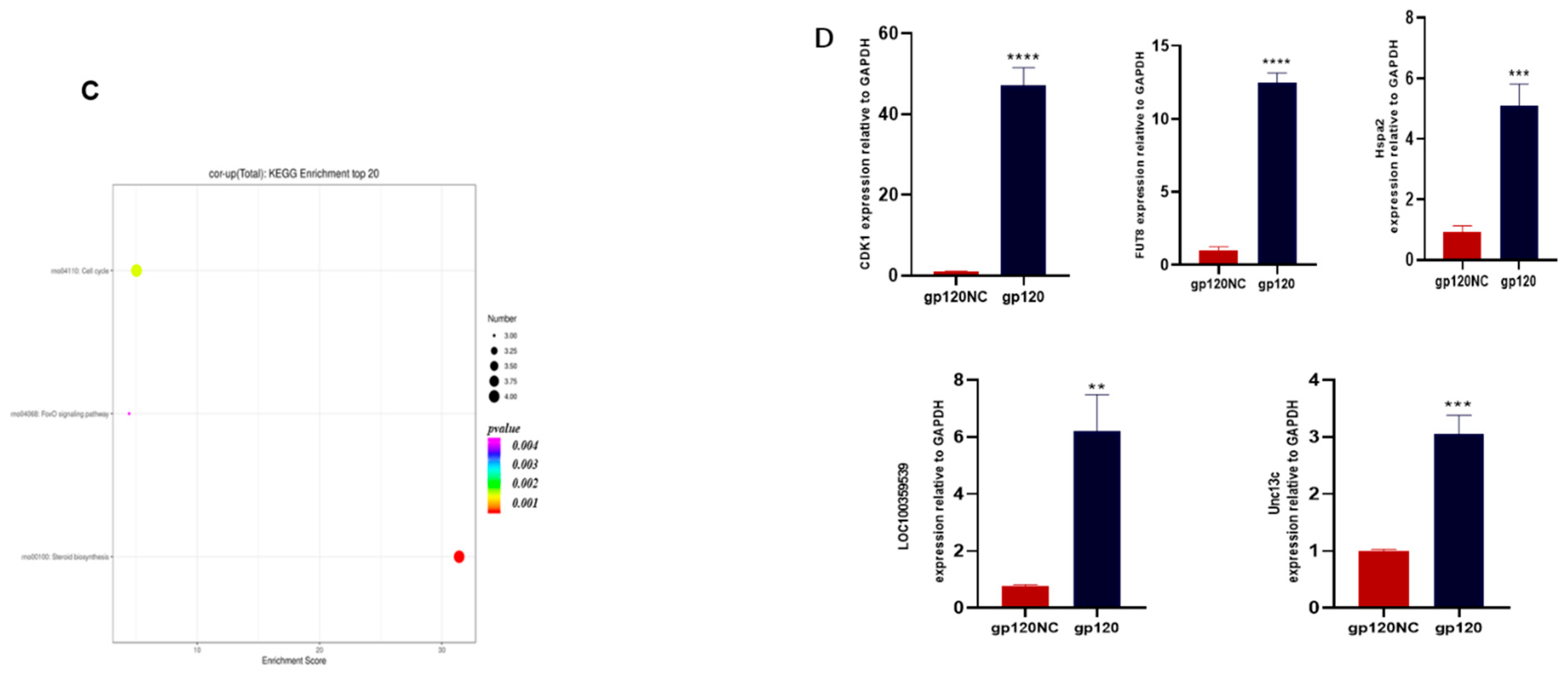 Viruses 14 02793 g005b