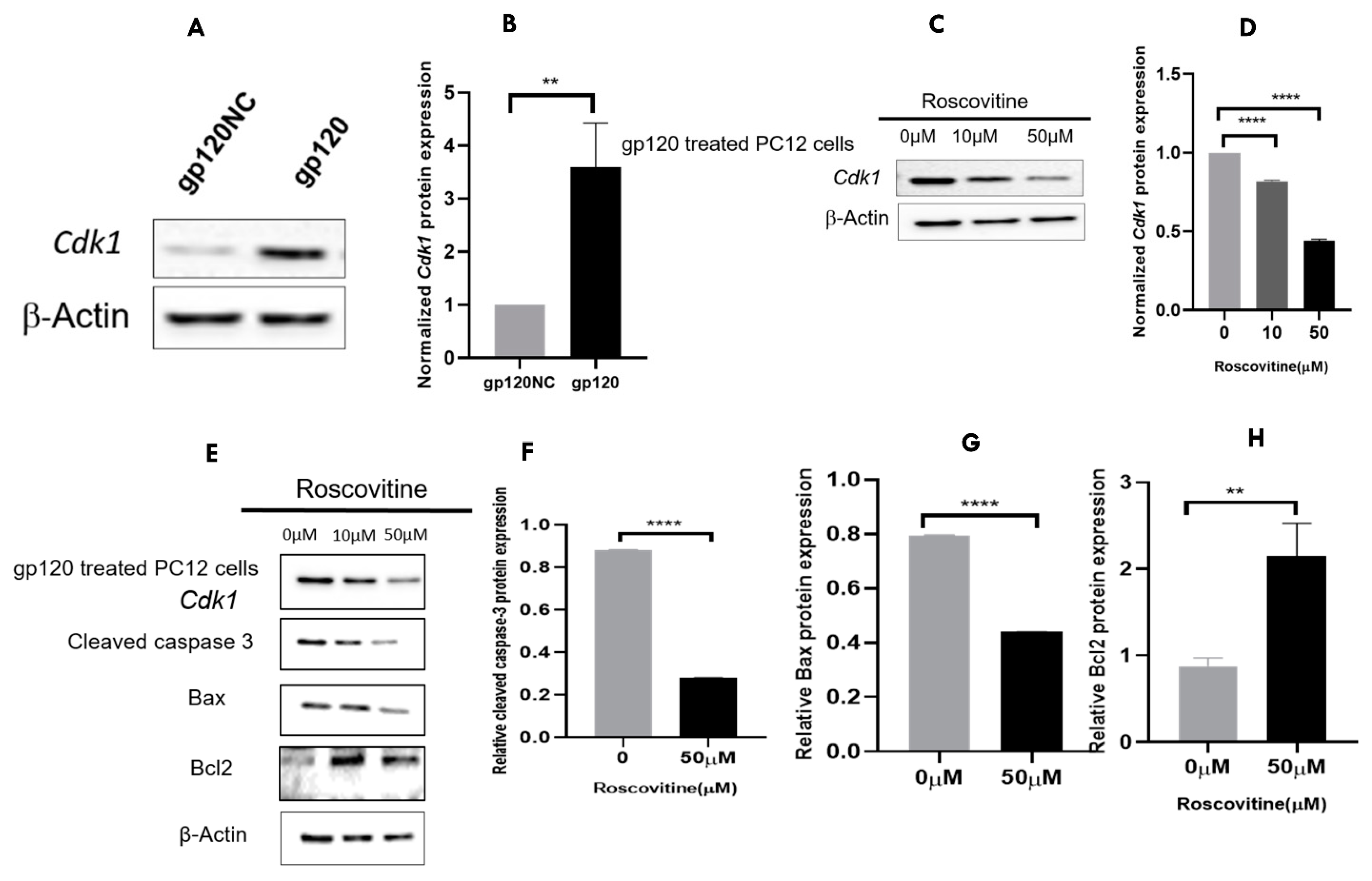 Viruses 14 02793 g007