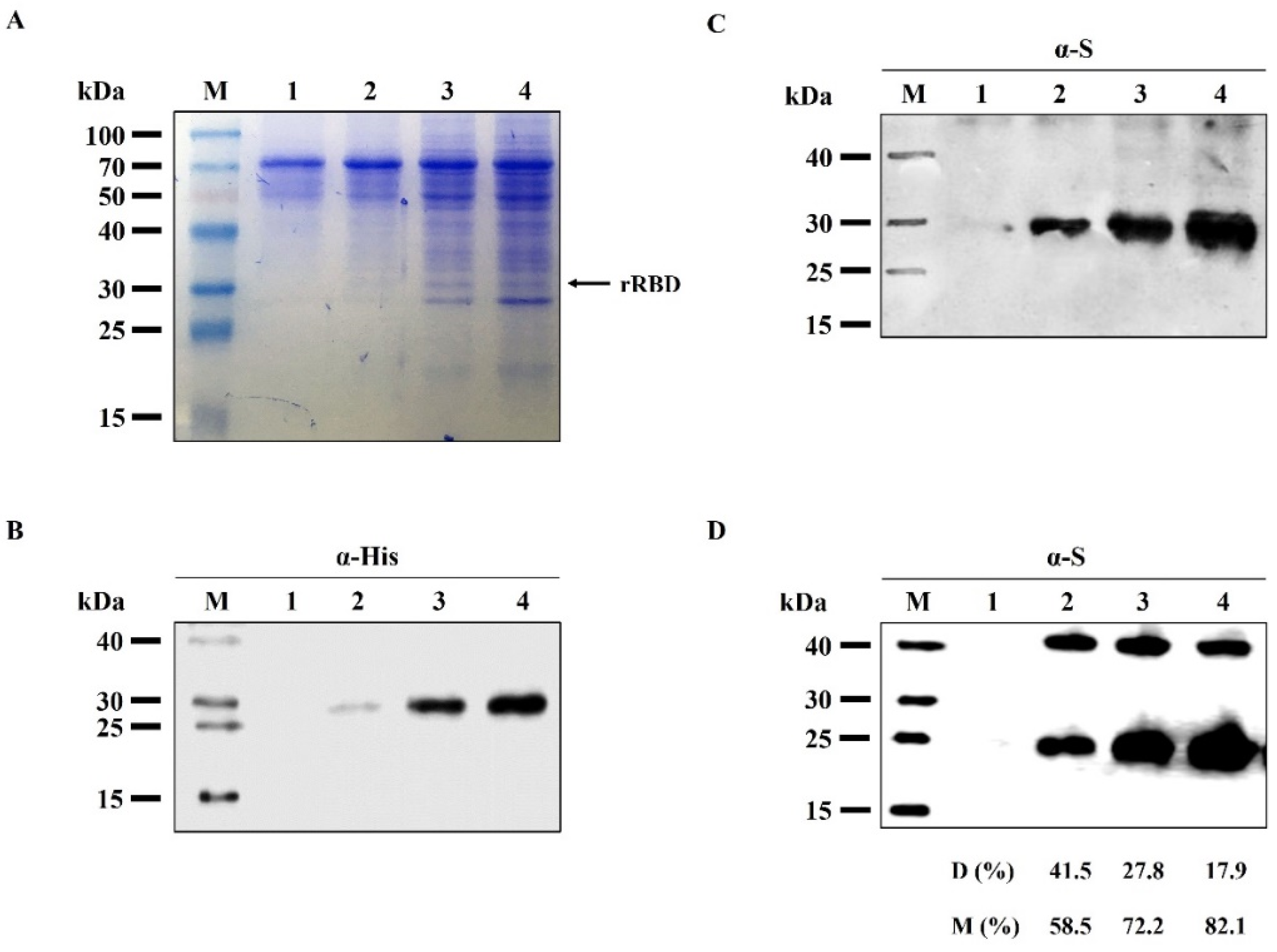 Viruses 14 02794 g002