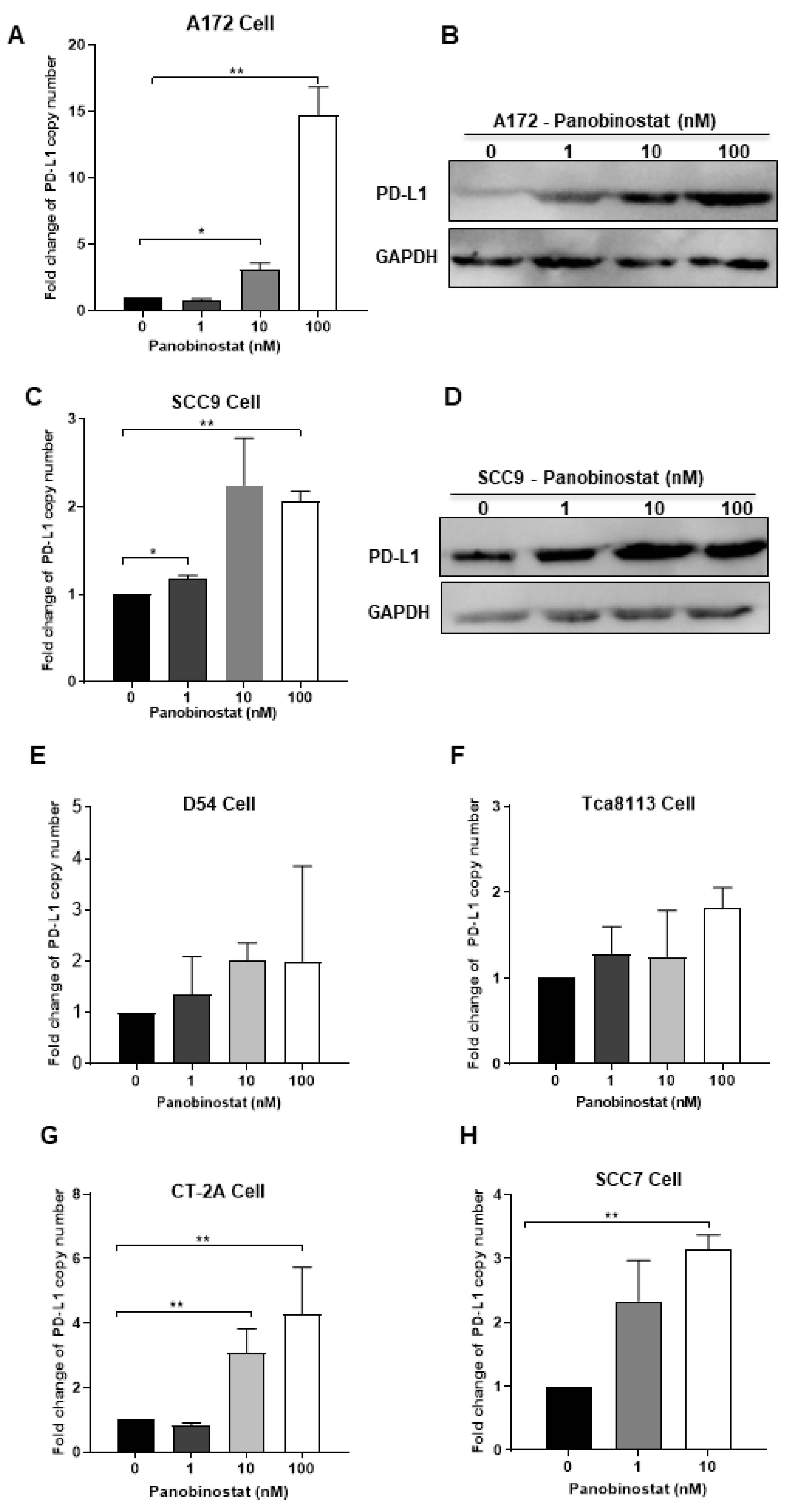 Viruses 14 02796 g005