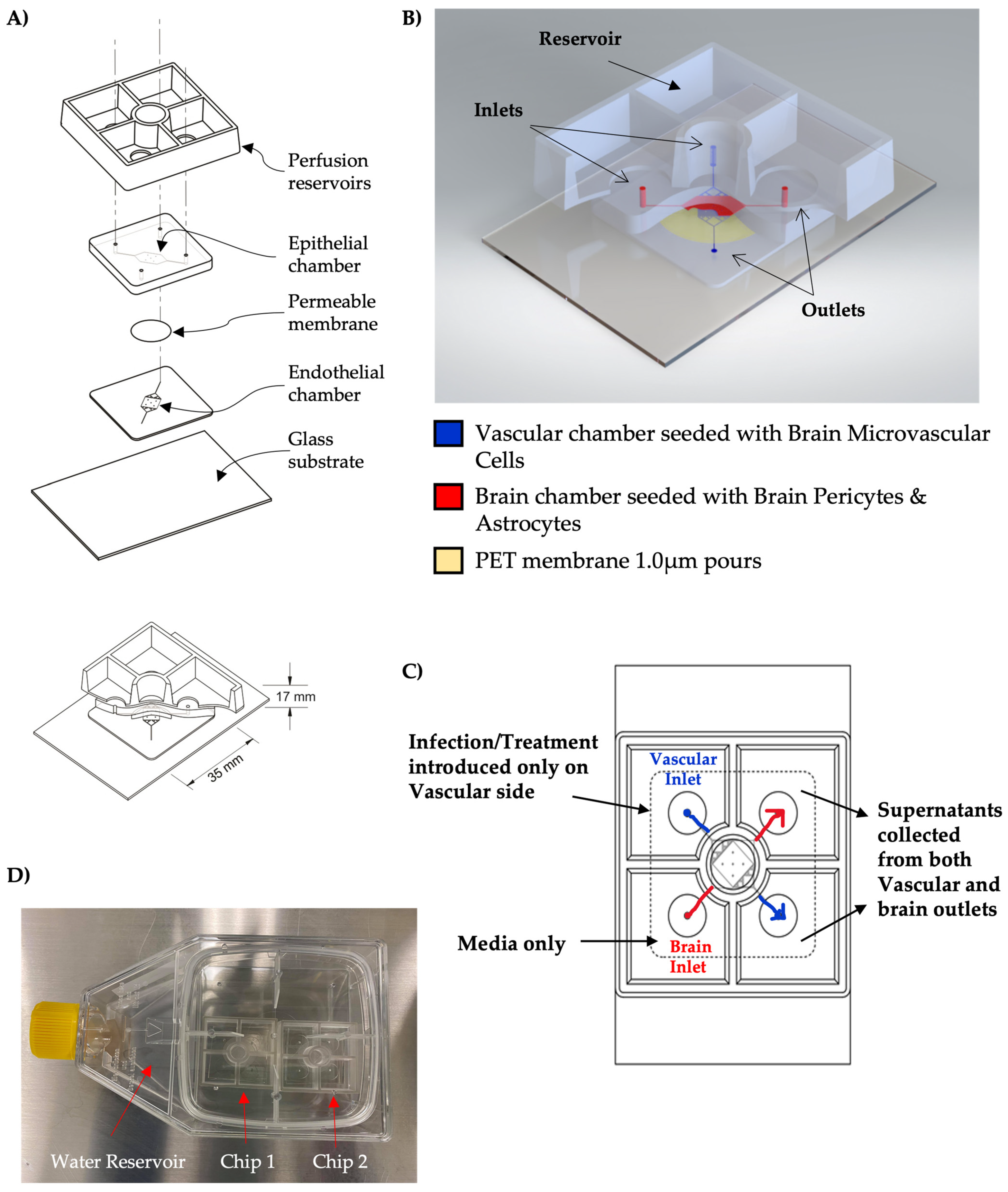 Viruses 14 02799 g001