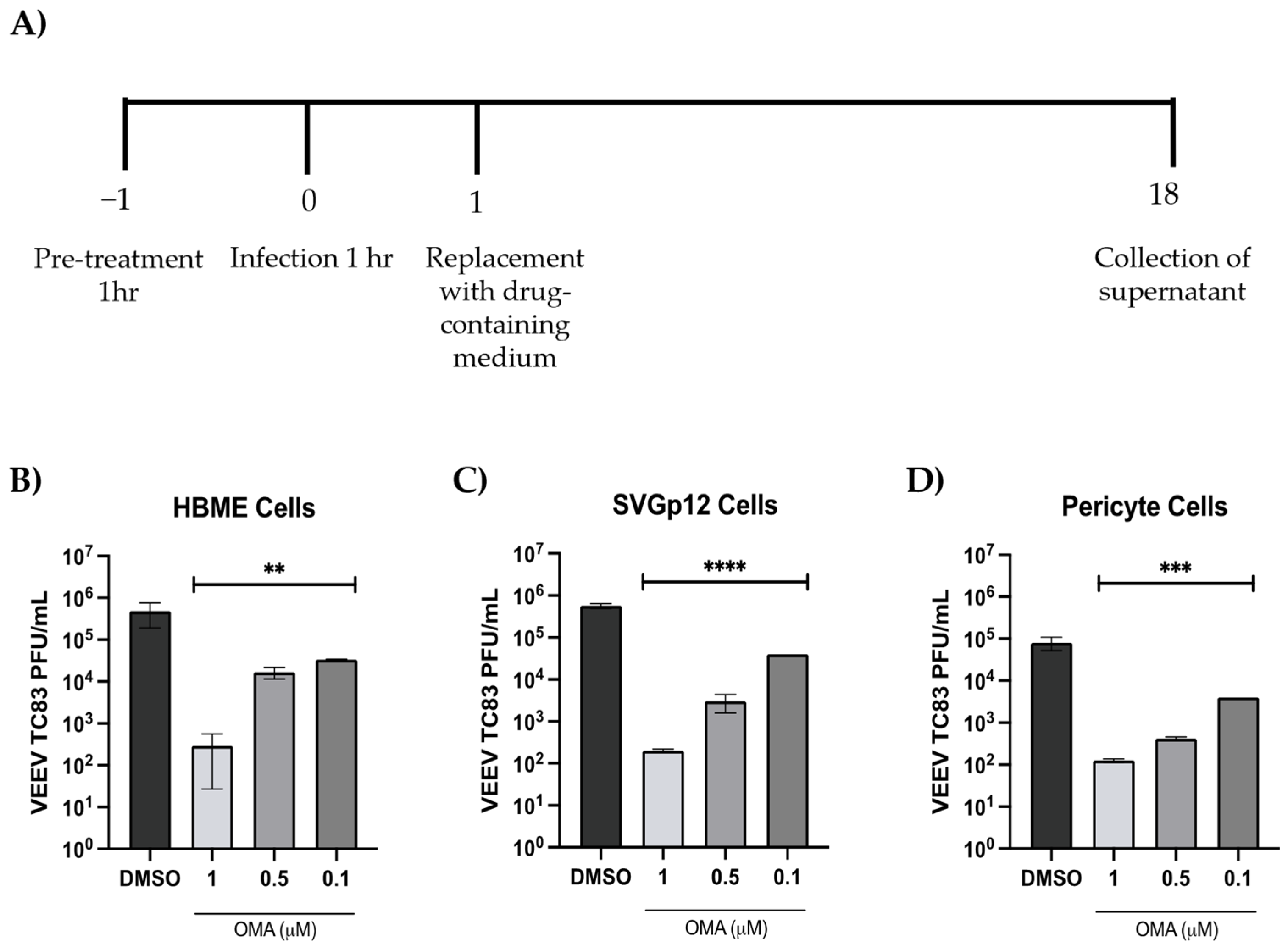 Viruses 14 02799 g003