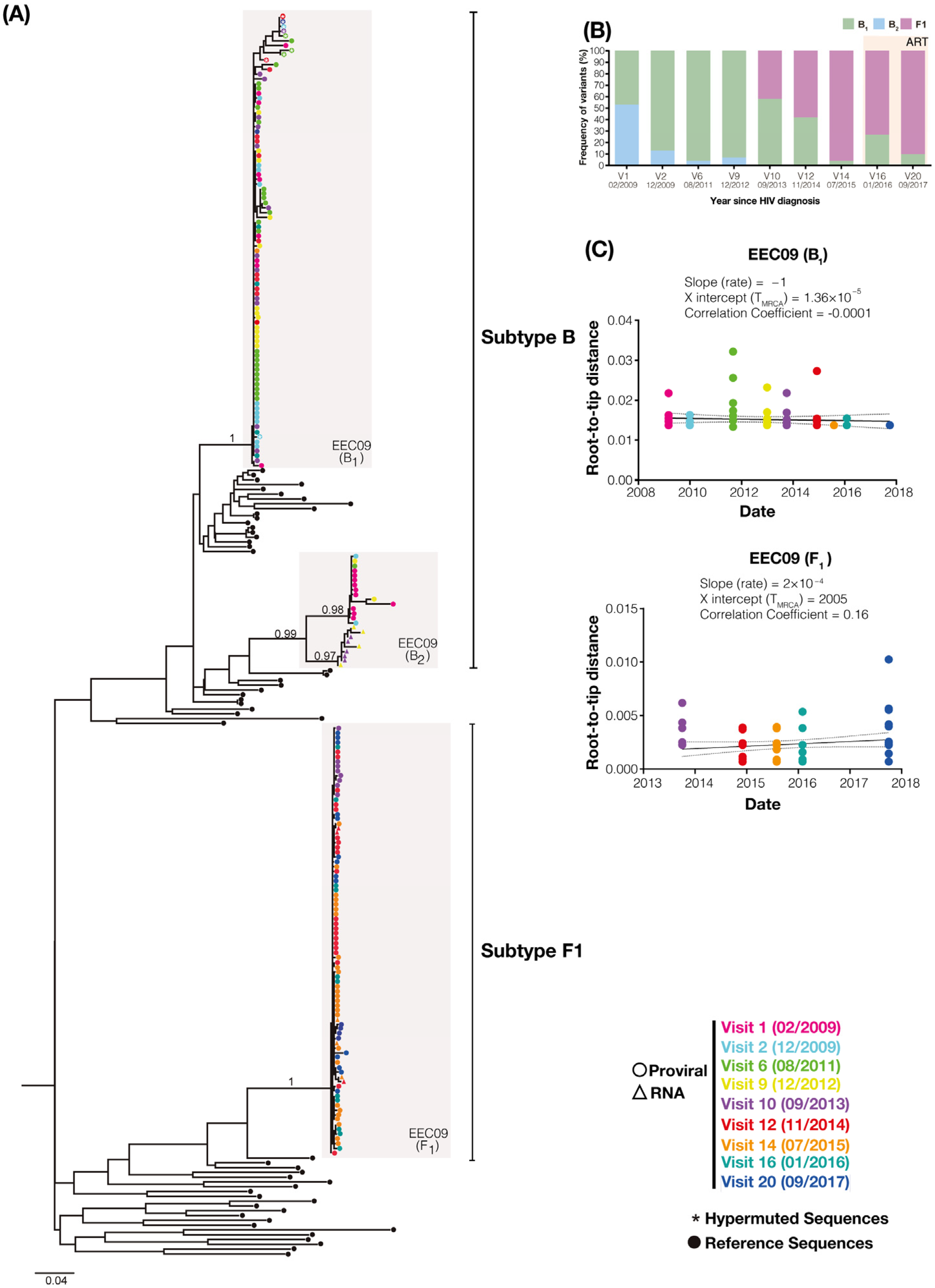 Viruses 14 02802 g002 Viruses 14 02802 g002
