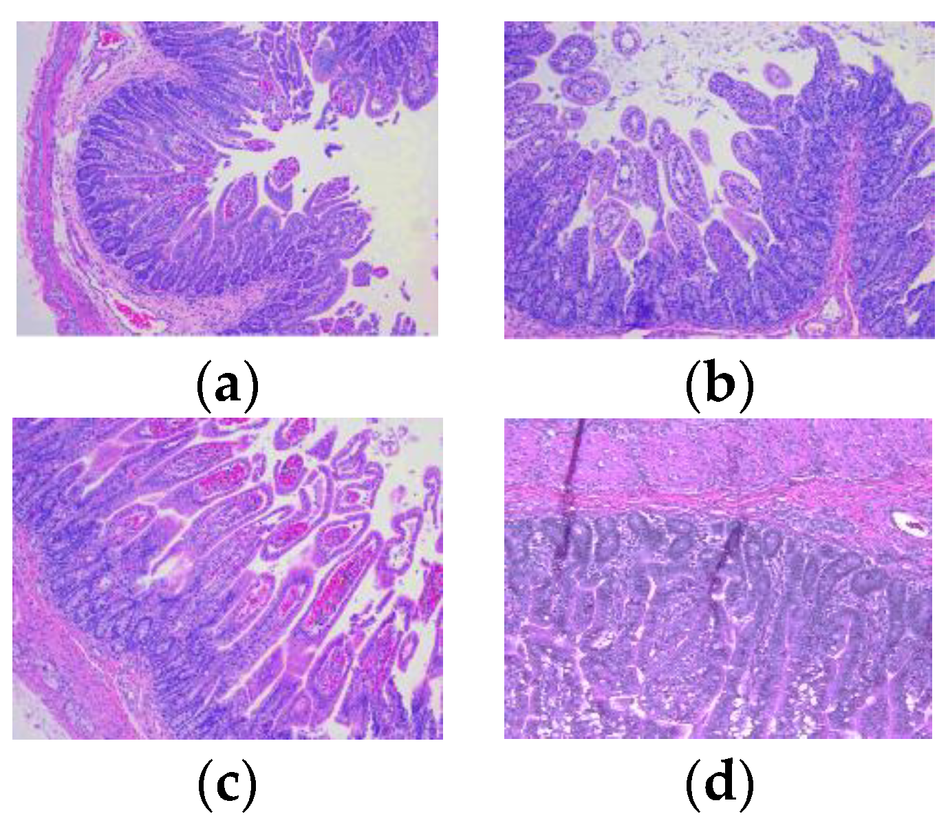 Viruses 14 02803 g002