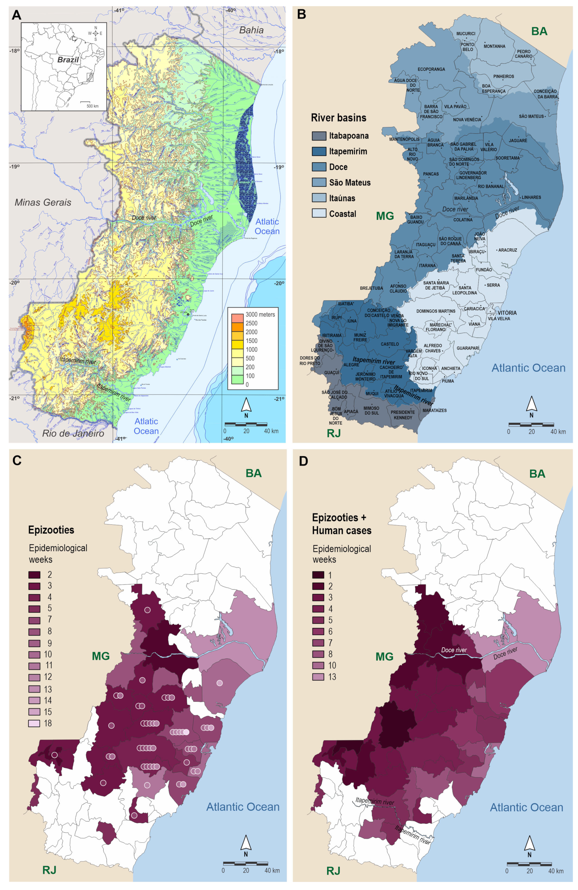 Viruses 14 02805 g001