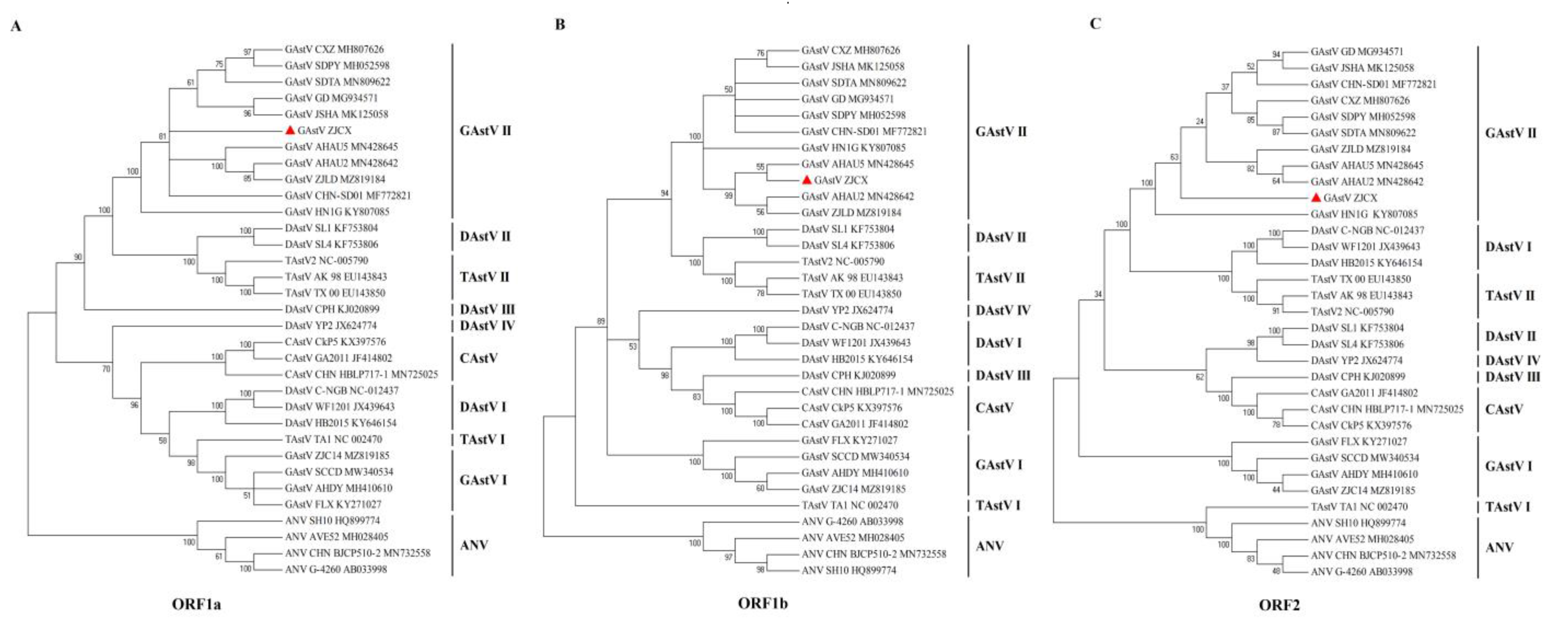 Viruses 14 02806 g004