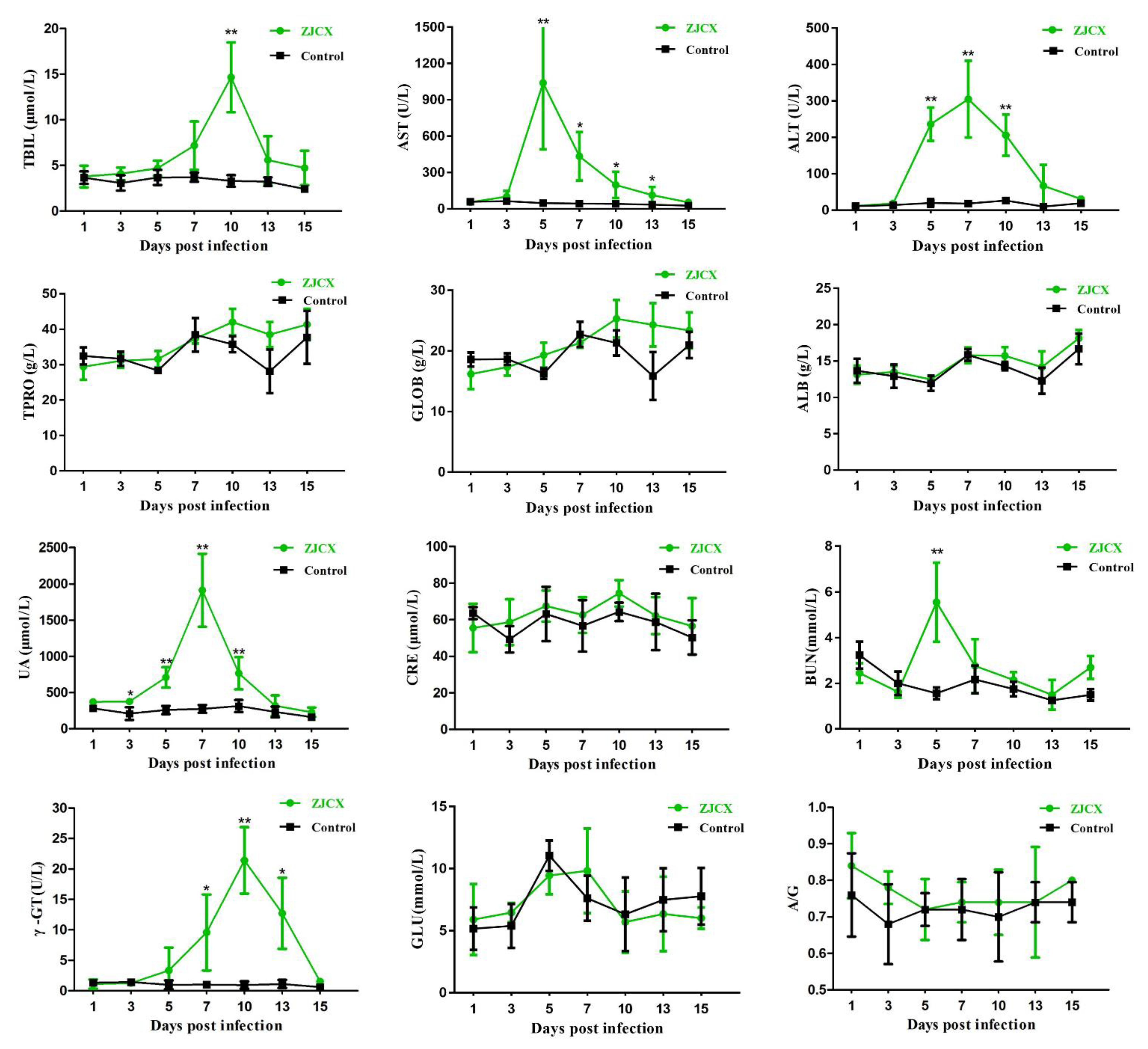 Viruses 14 02806 g007