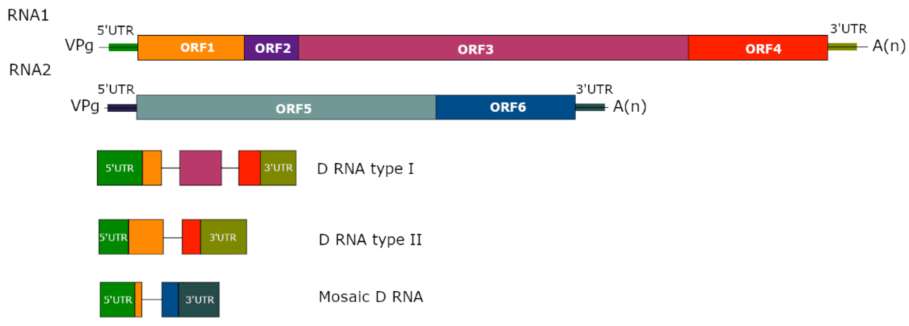Viruses 14 02814 g001 Viruses 14 02814 g001