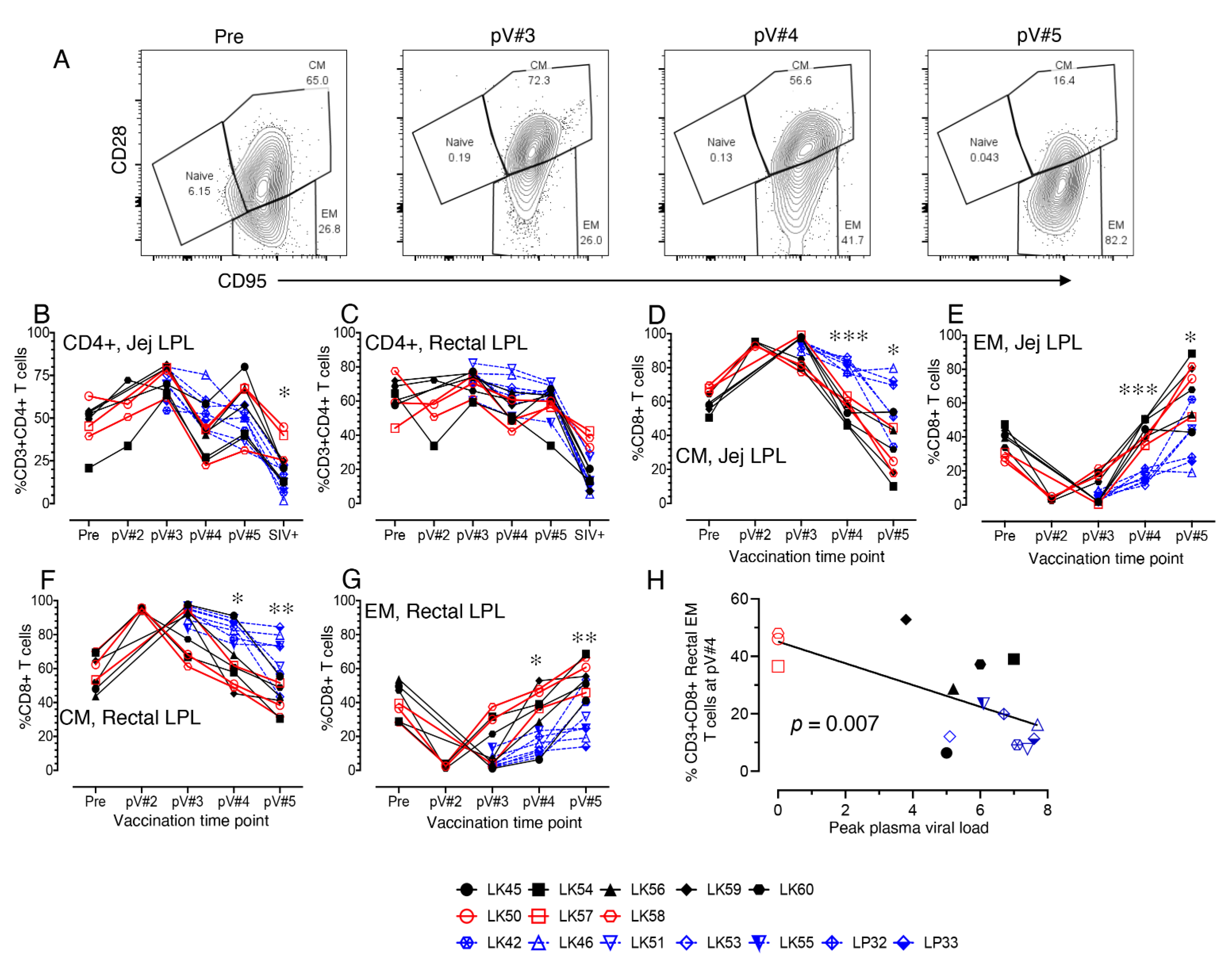 Viruses 14 02819 g005 Viruses 14 02819 g005