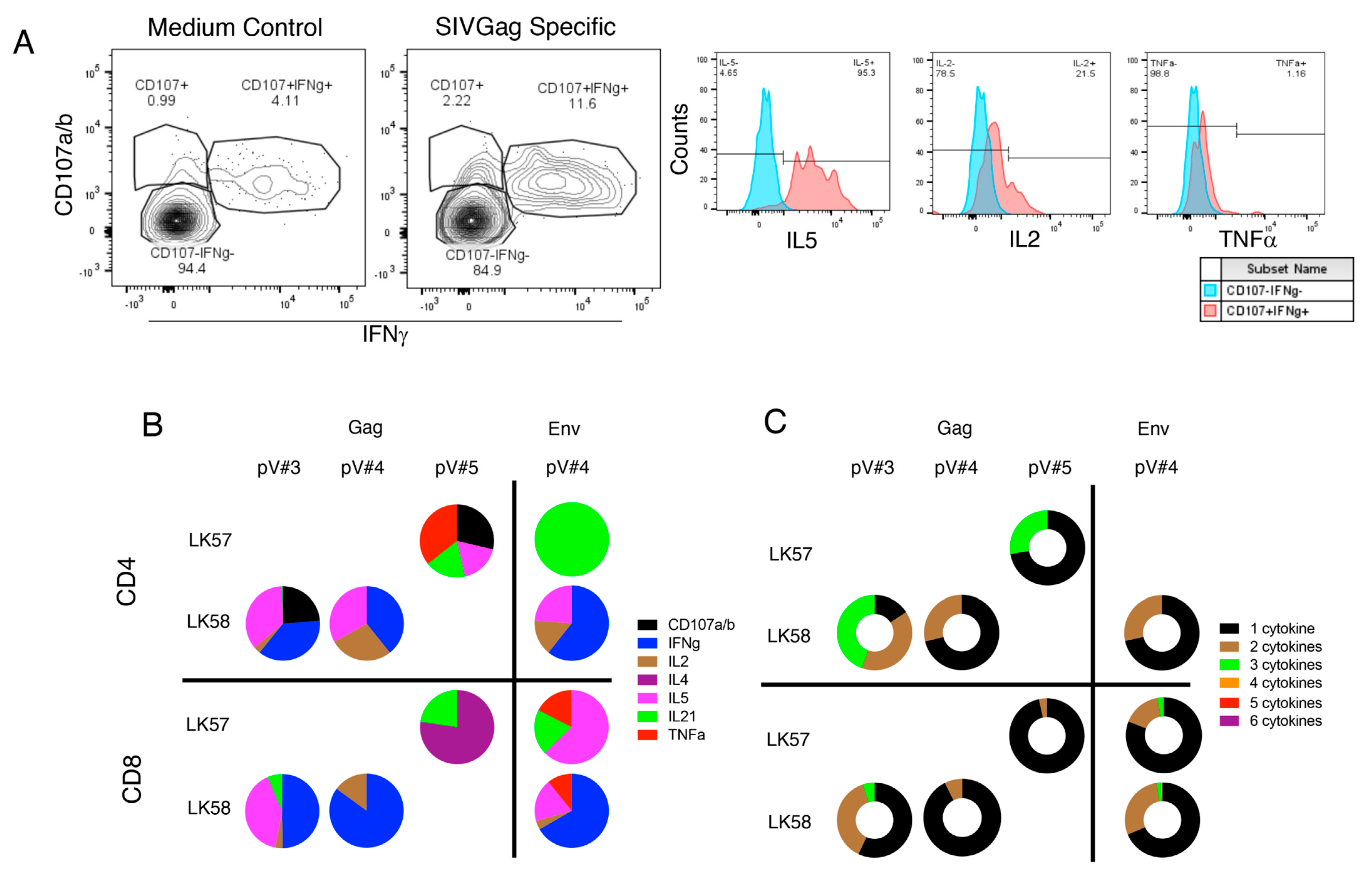 Viruses 14 02819 g008 Viruses 14 02819 g008