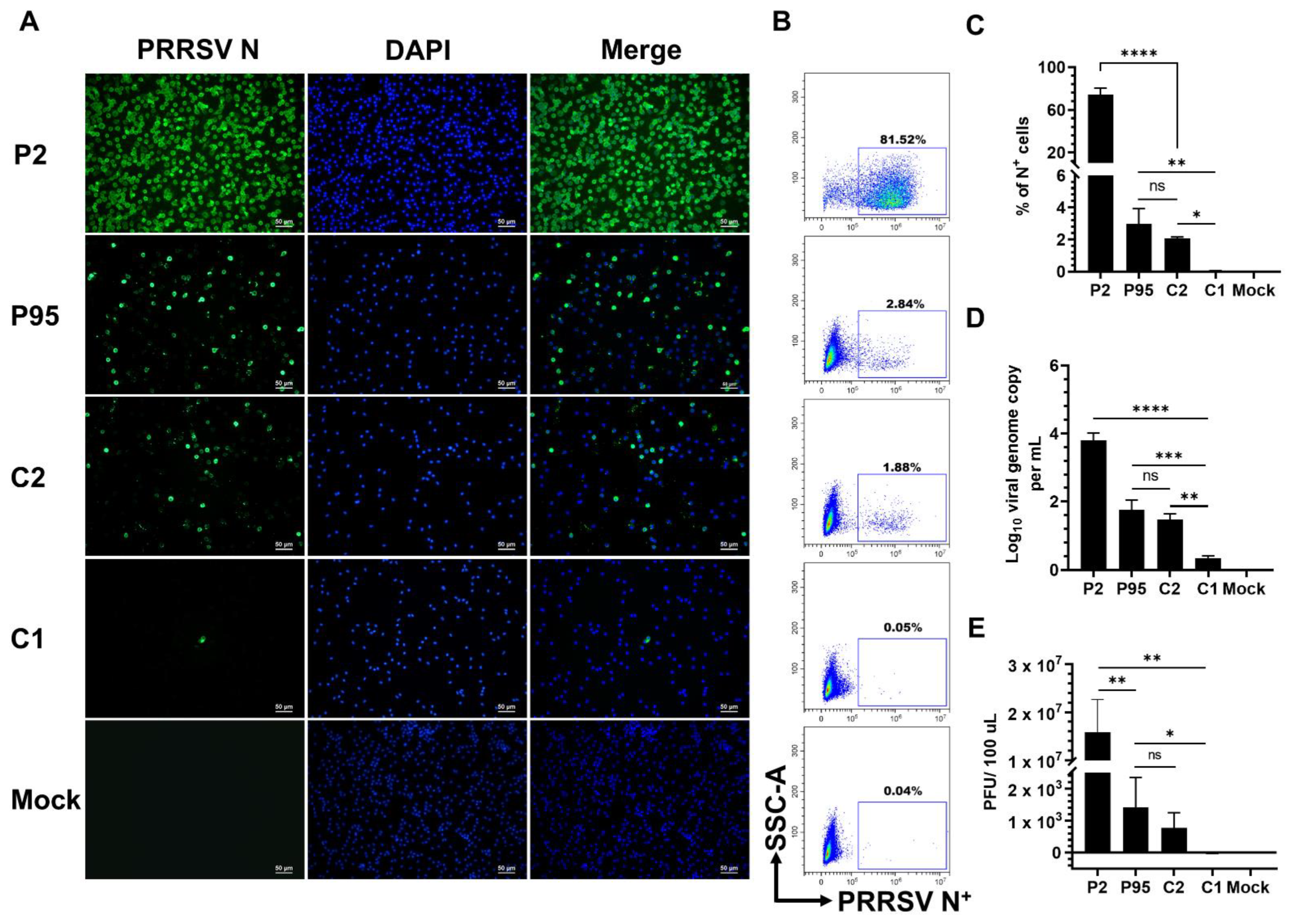 Viruses 14 02822 g001 Viruses 14 02822 g001