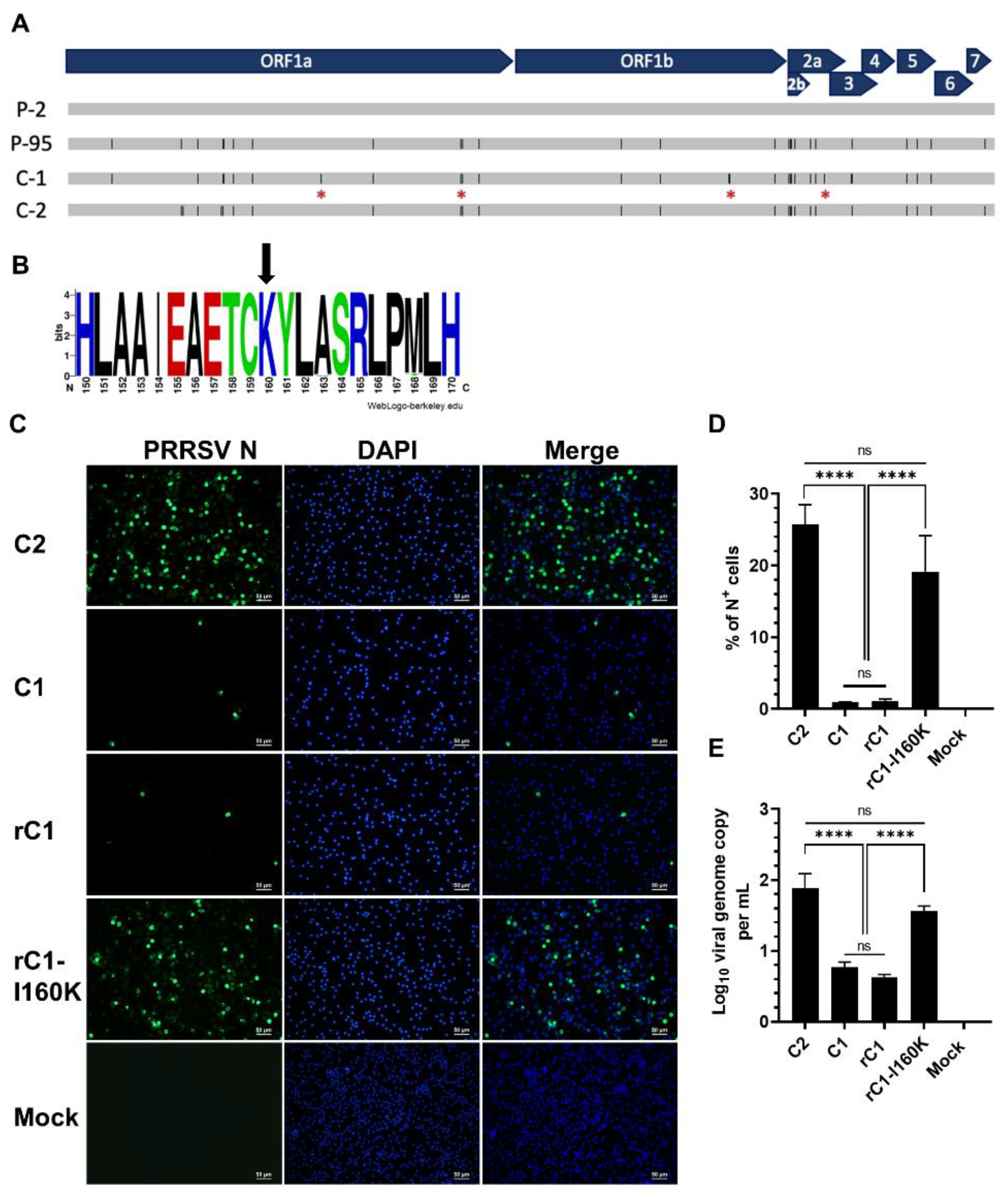 Viruses 14 02822 g004 Viruses 14 02822 g004