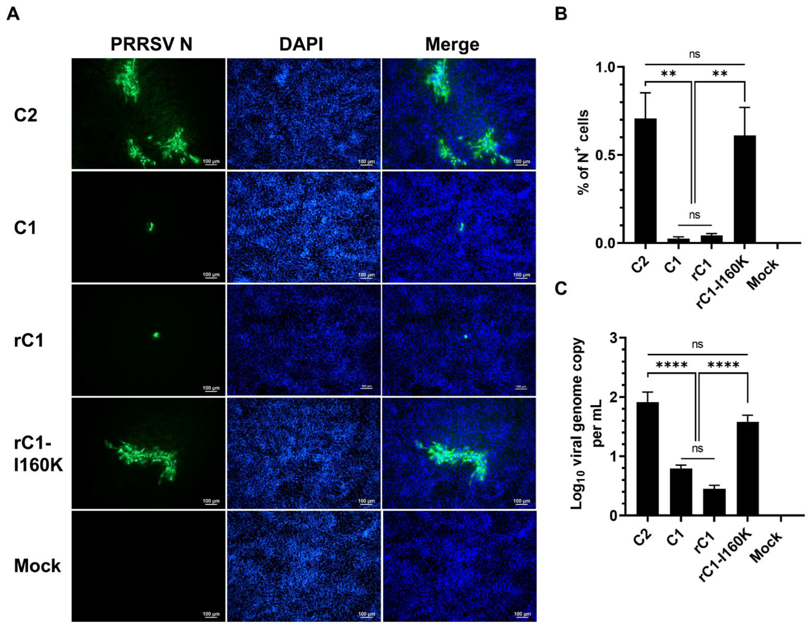 Viruses 14 02822 g005 Viruses 14 02822 g005