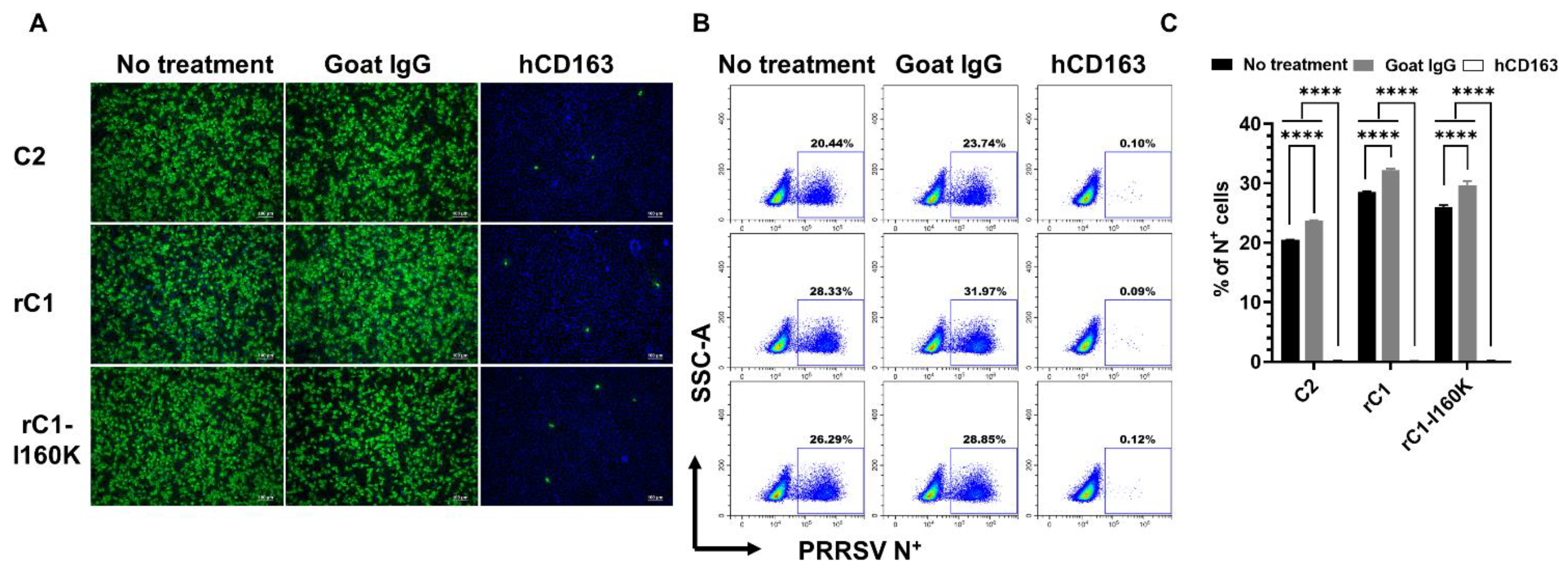 Viruses 14 02822 g006 Viruses 14 02822 g006
