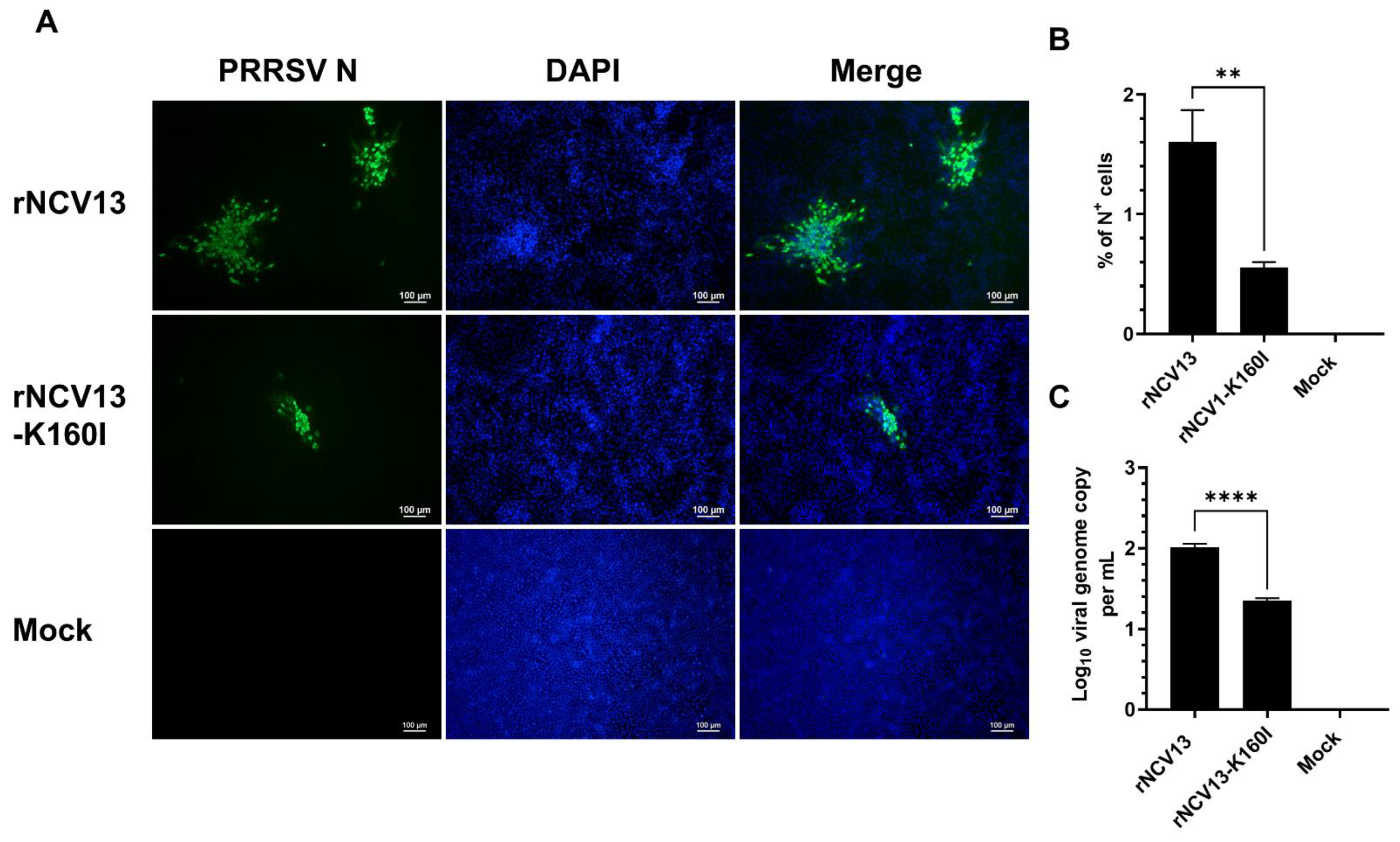 Viruses 14 02822 g009 Viruses 14 02822 g009