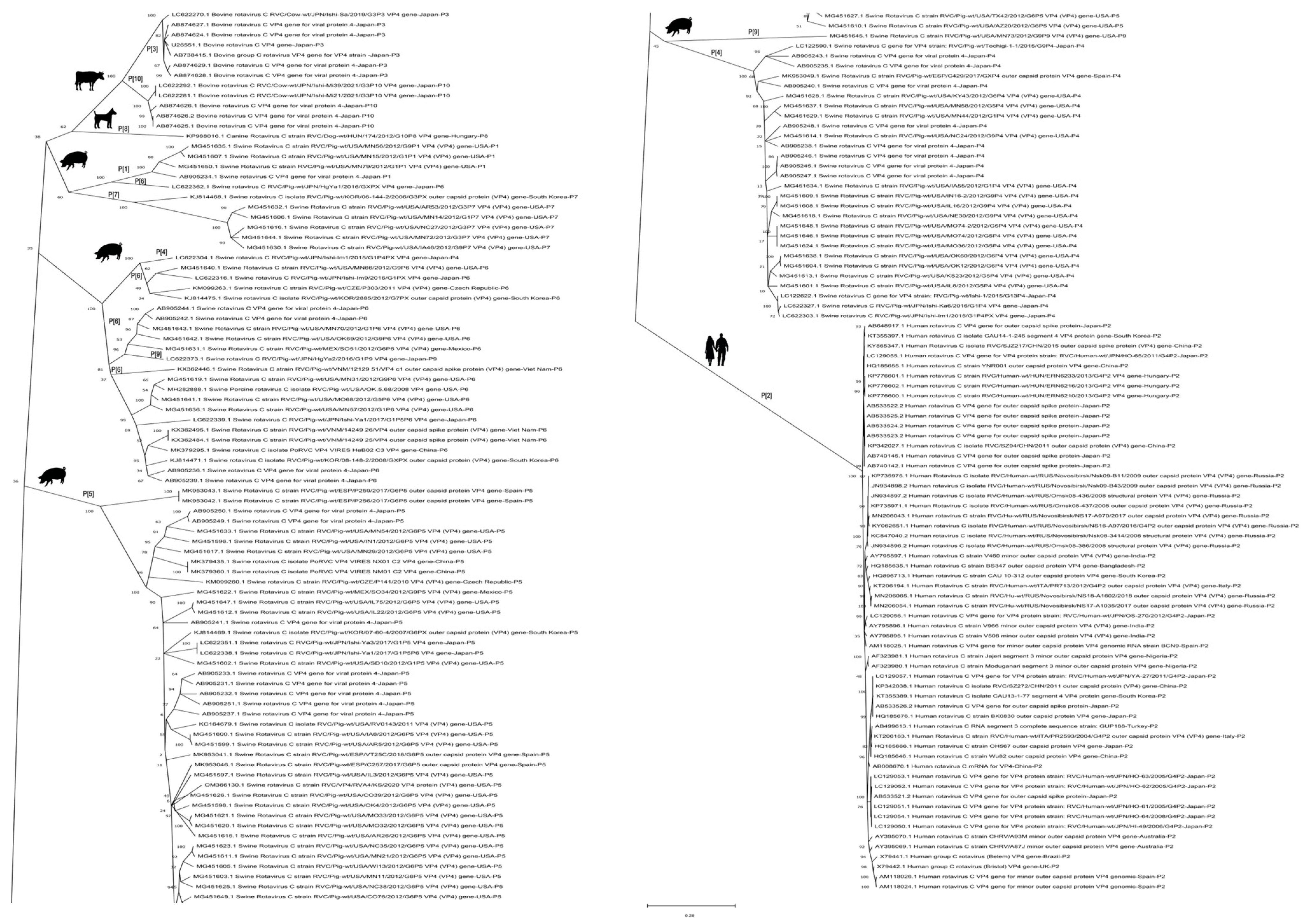 Viruses 14 02826 g003