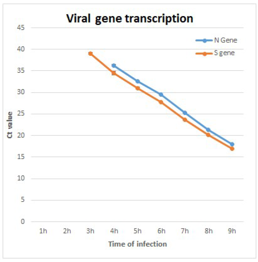 Viruses 14 02828 g003 Viruses 14 02828 g003