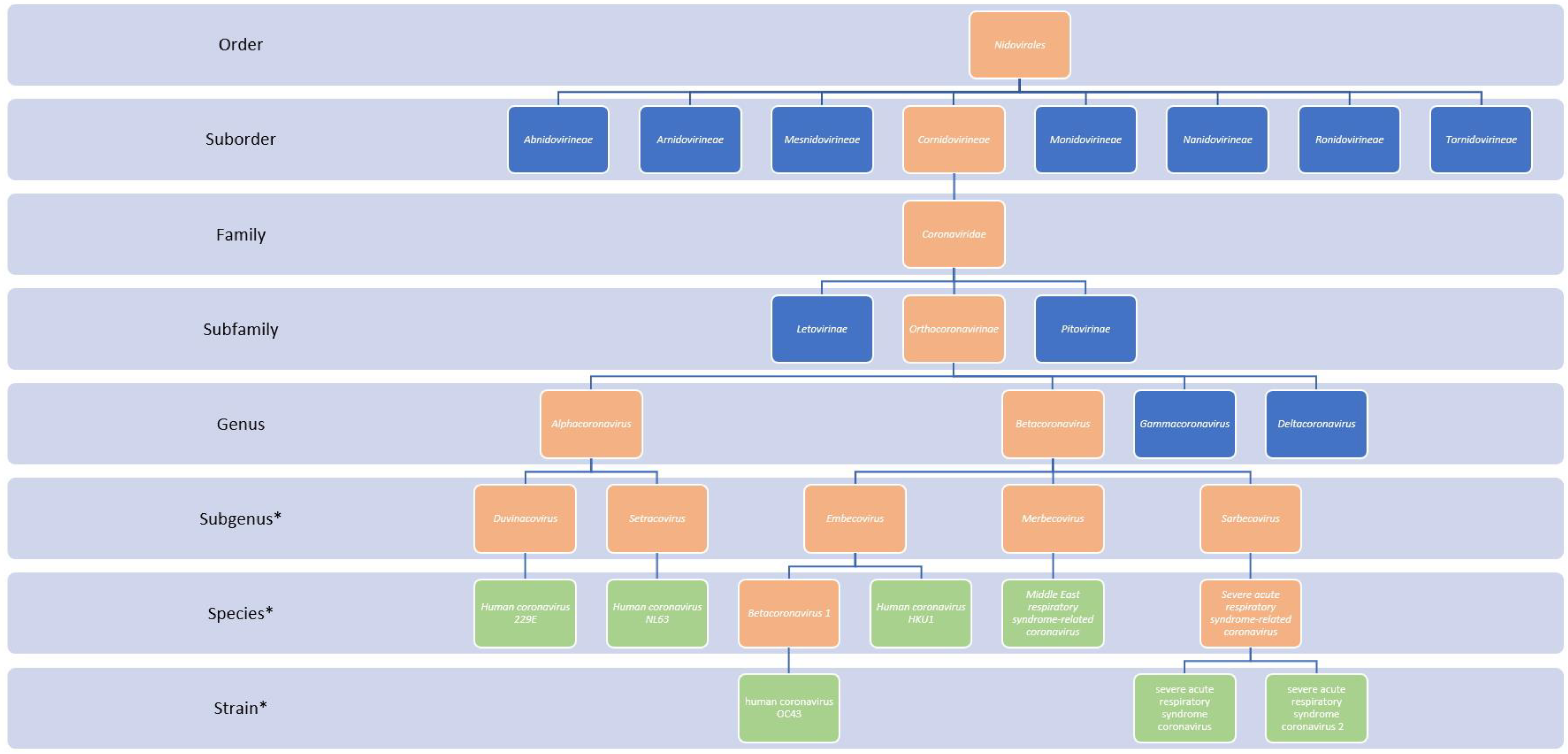 Viruses 15 00001 g002