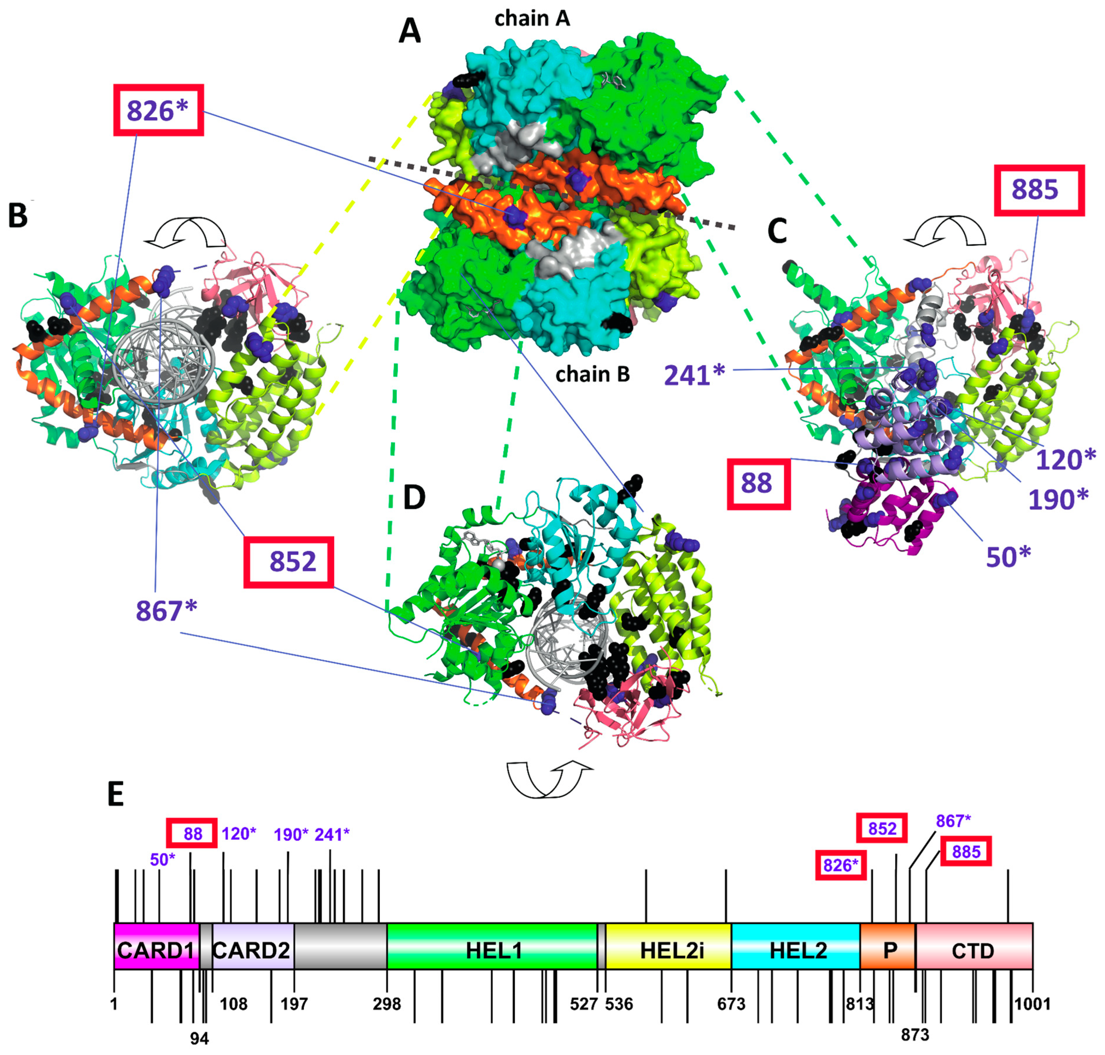 Viruses 15 00003 g003 Viruses 15 00003 g003