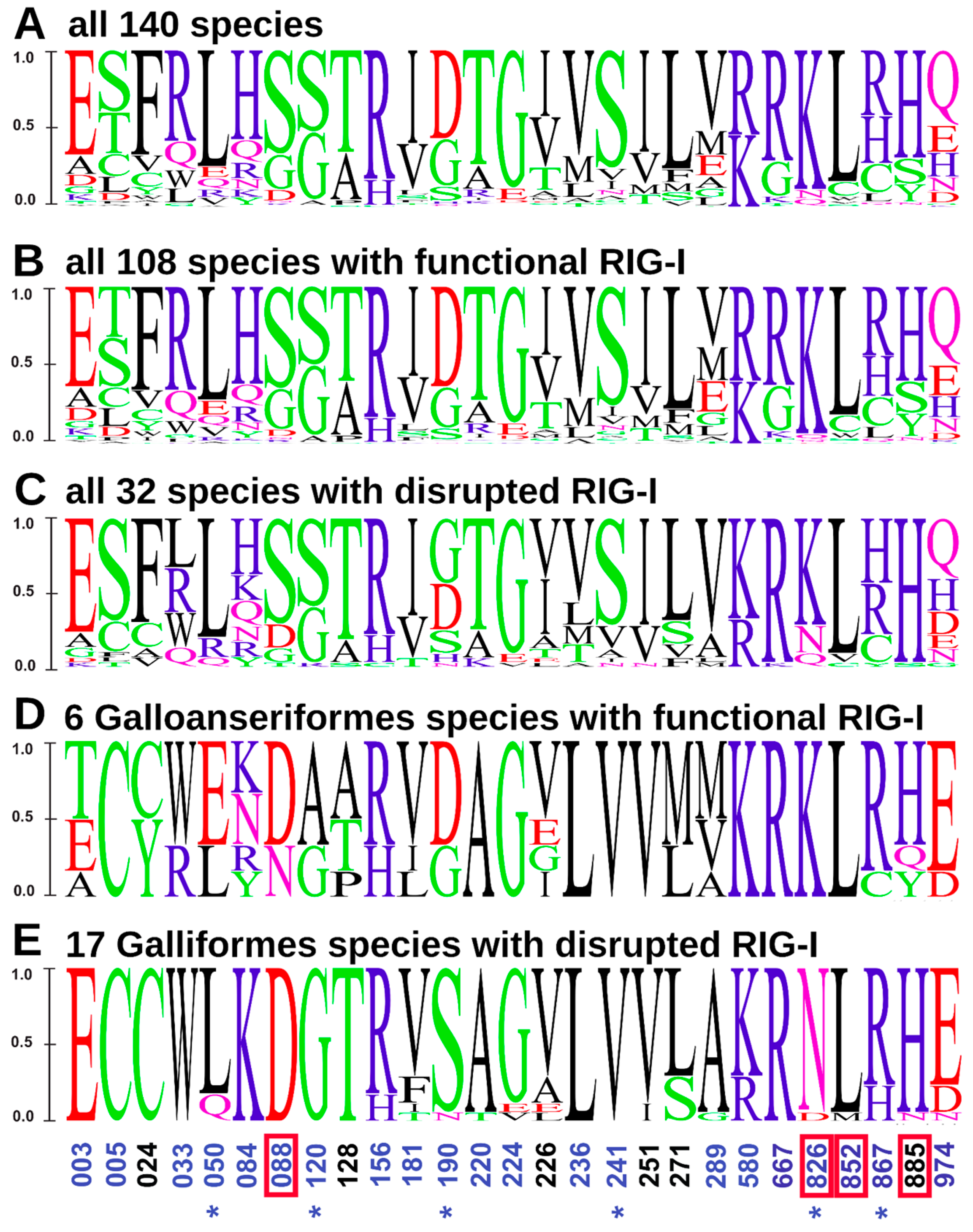 Viruses 15 00003 g004 Viruses 15 00003 g004