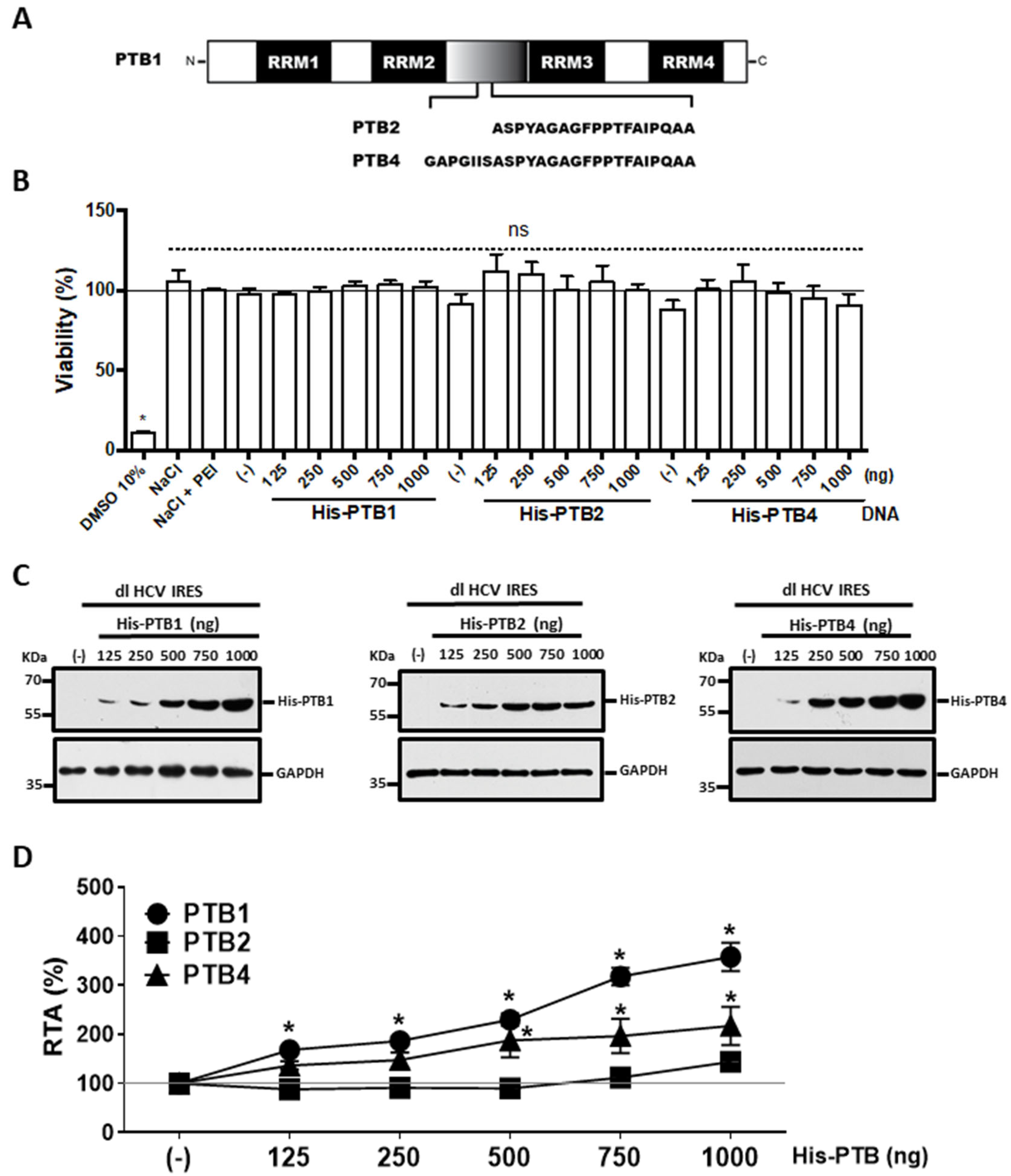 Viruses 15 00008 g002