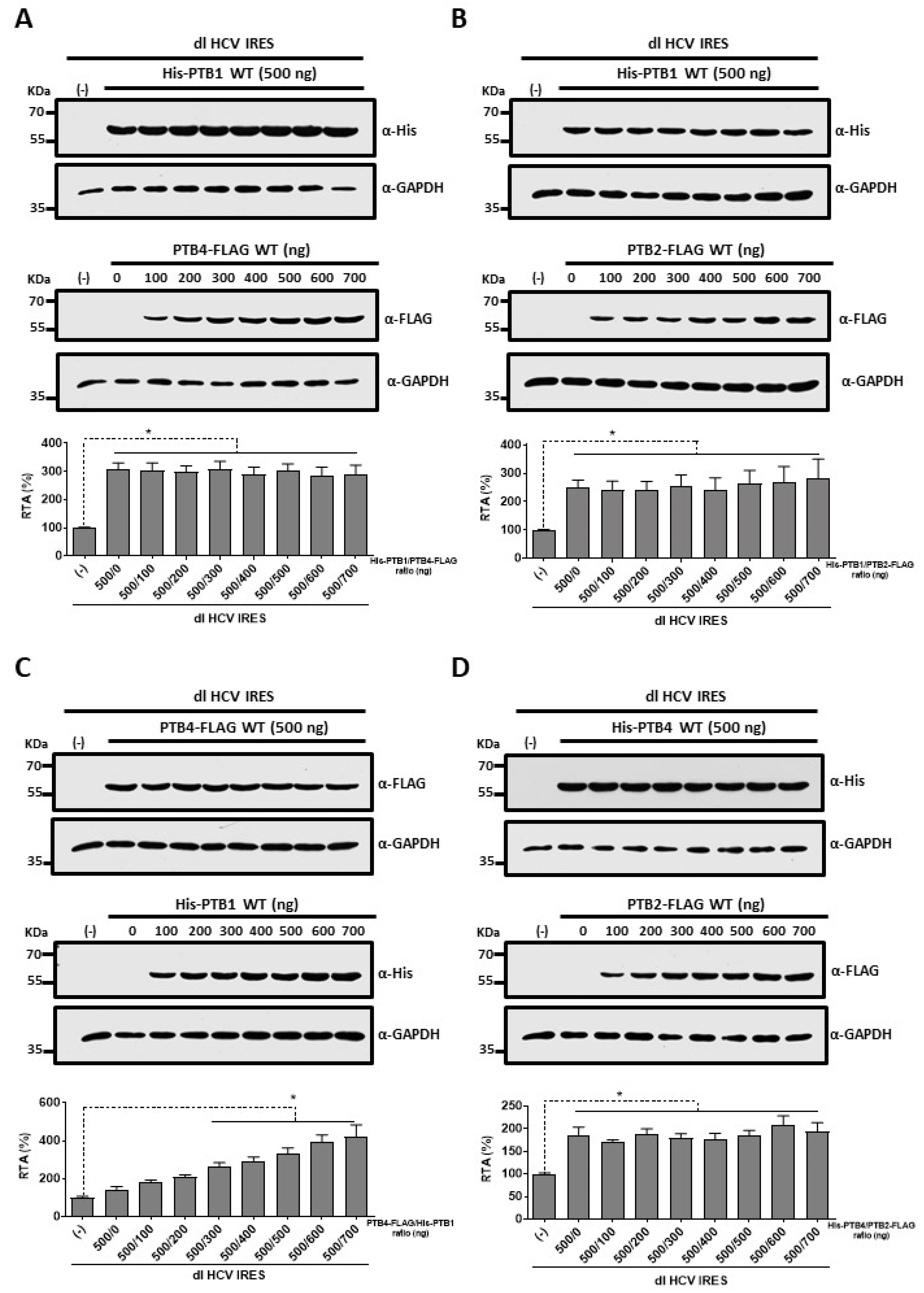 Viraemia – Viraemia INDICAL BIOSCIENCE | virotype IHNV/VHSV RT-PCR Kit (100