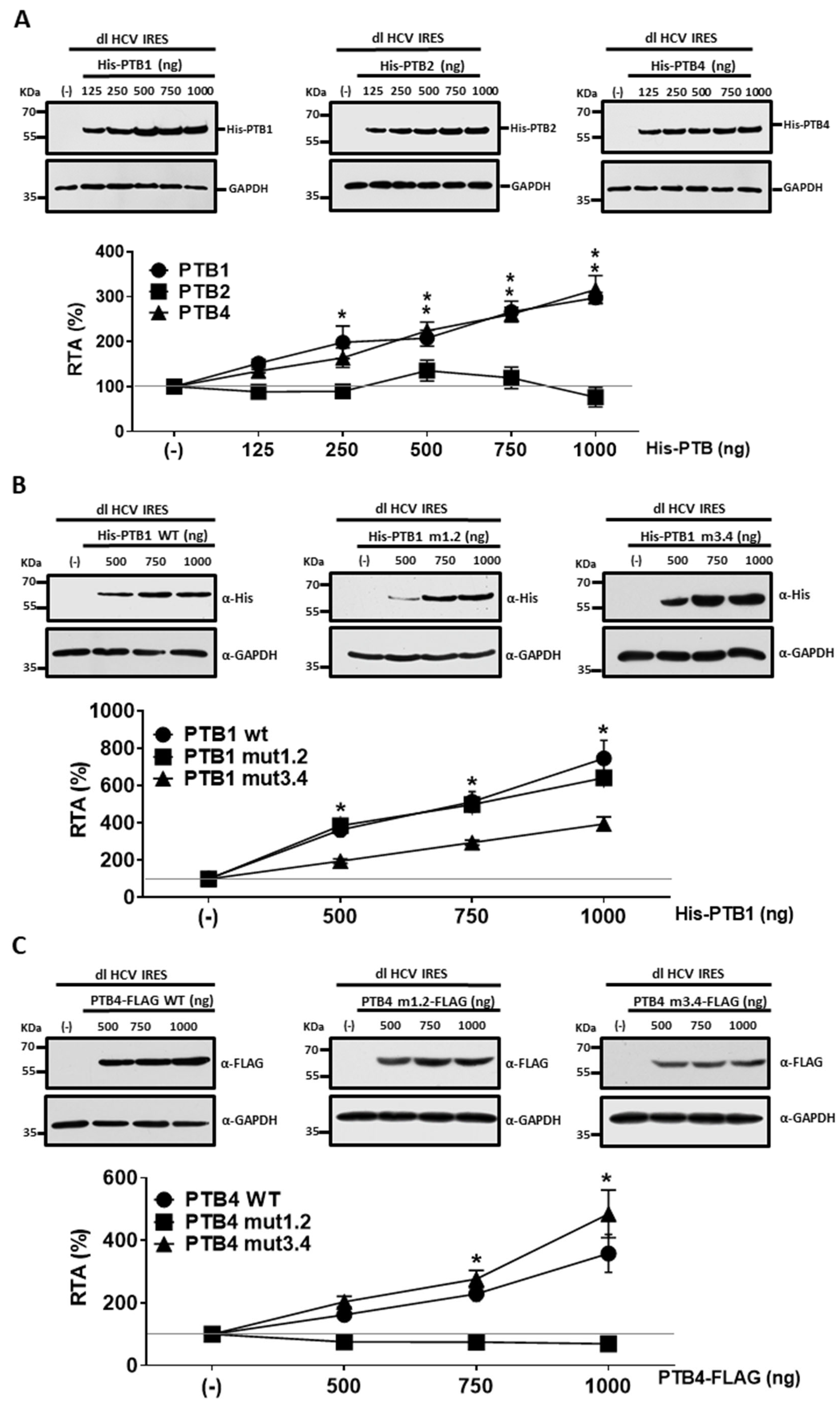 Viruses 15 00008 g006