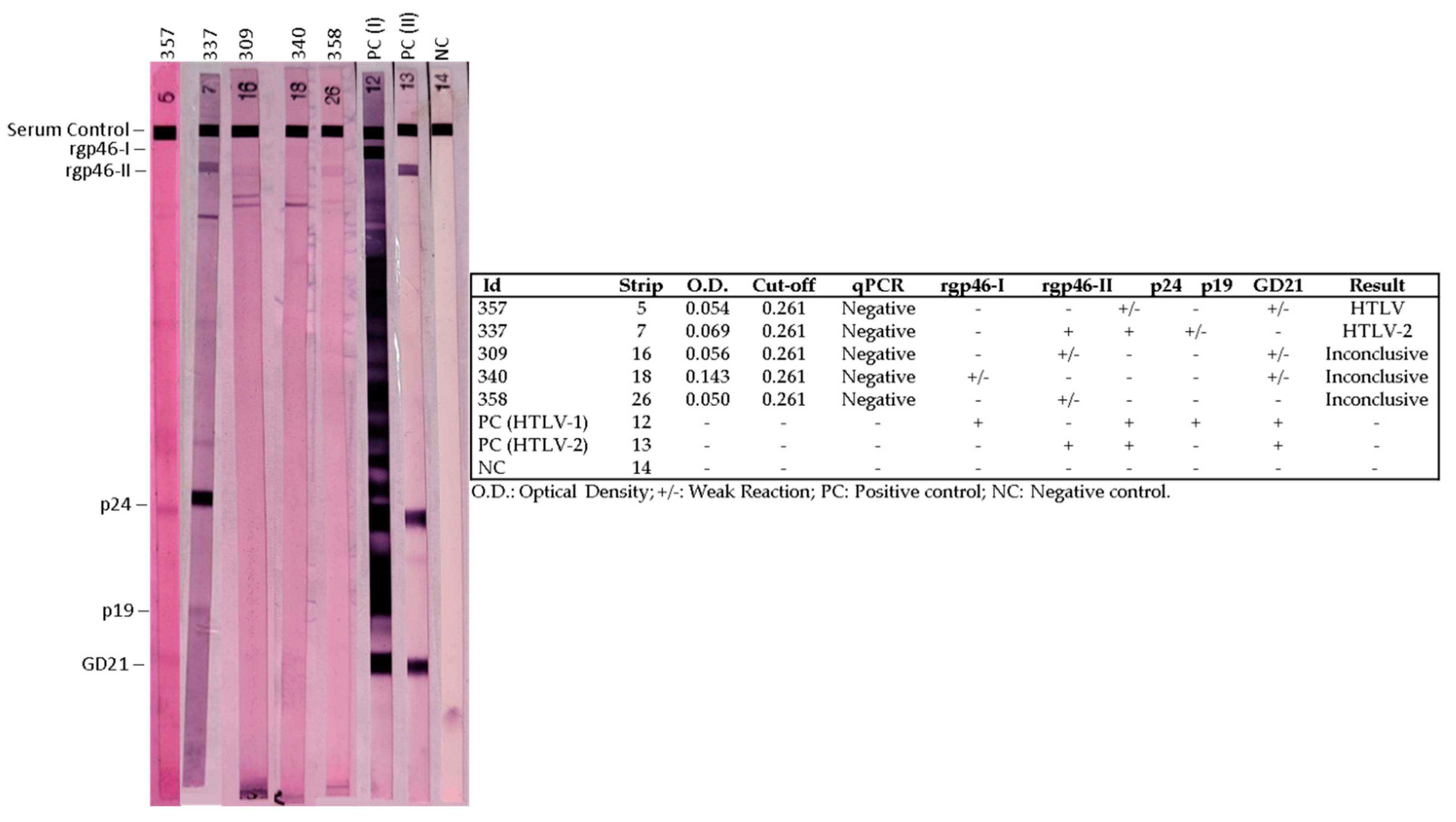 Viruses 15 00022 g002 Viruses 15 00022 g002