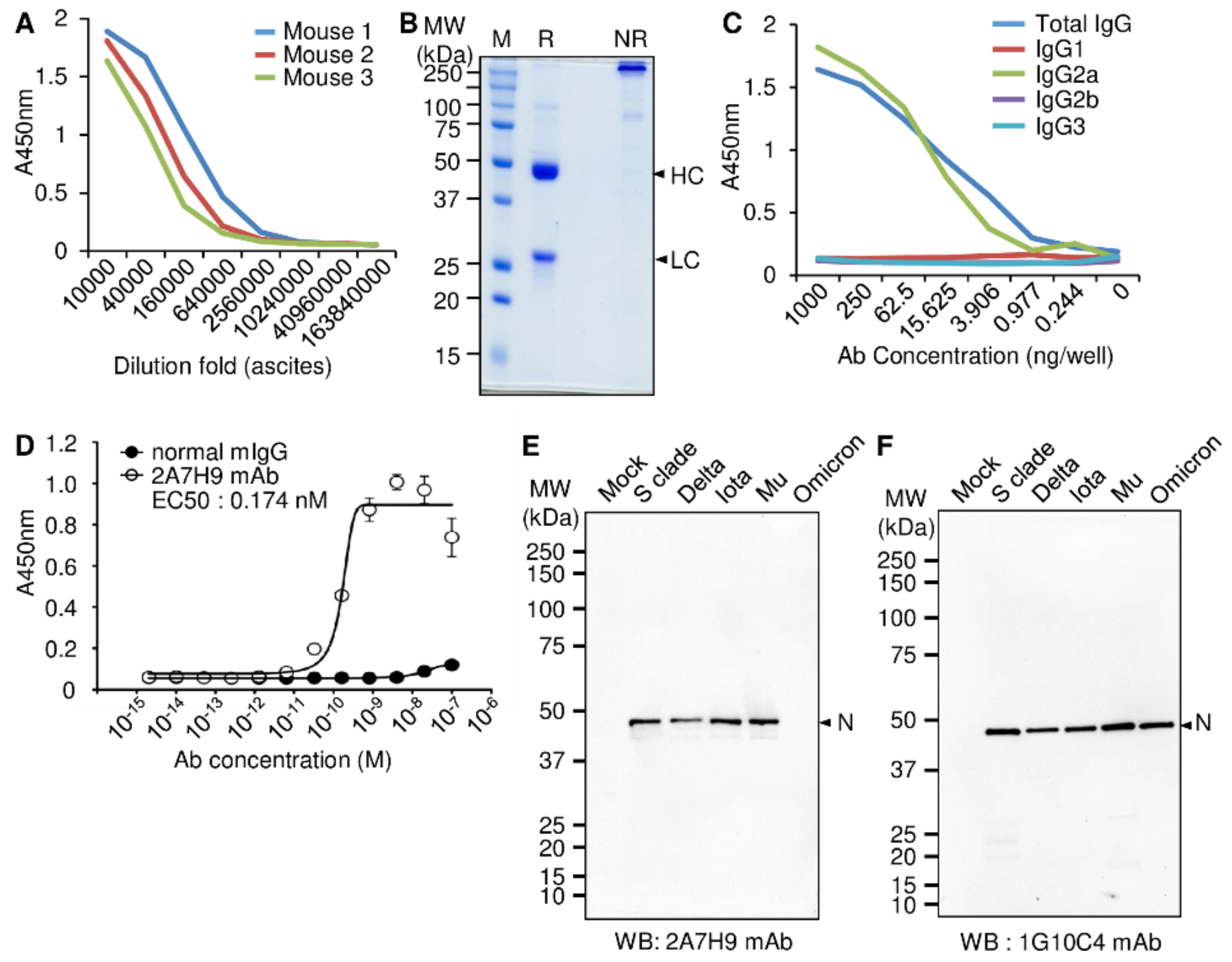 Viruses 15 00028 g001