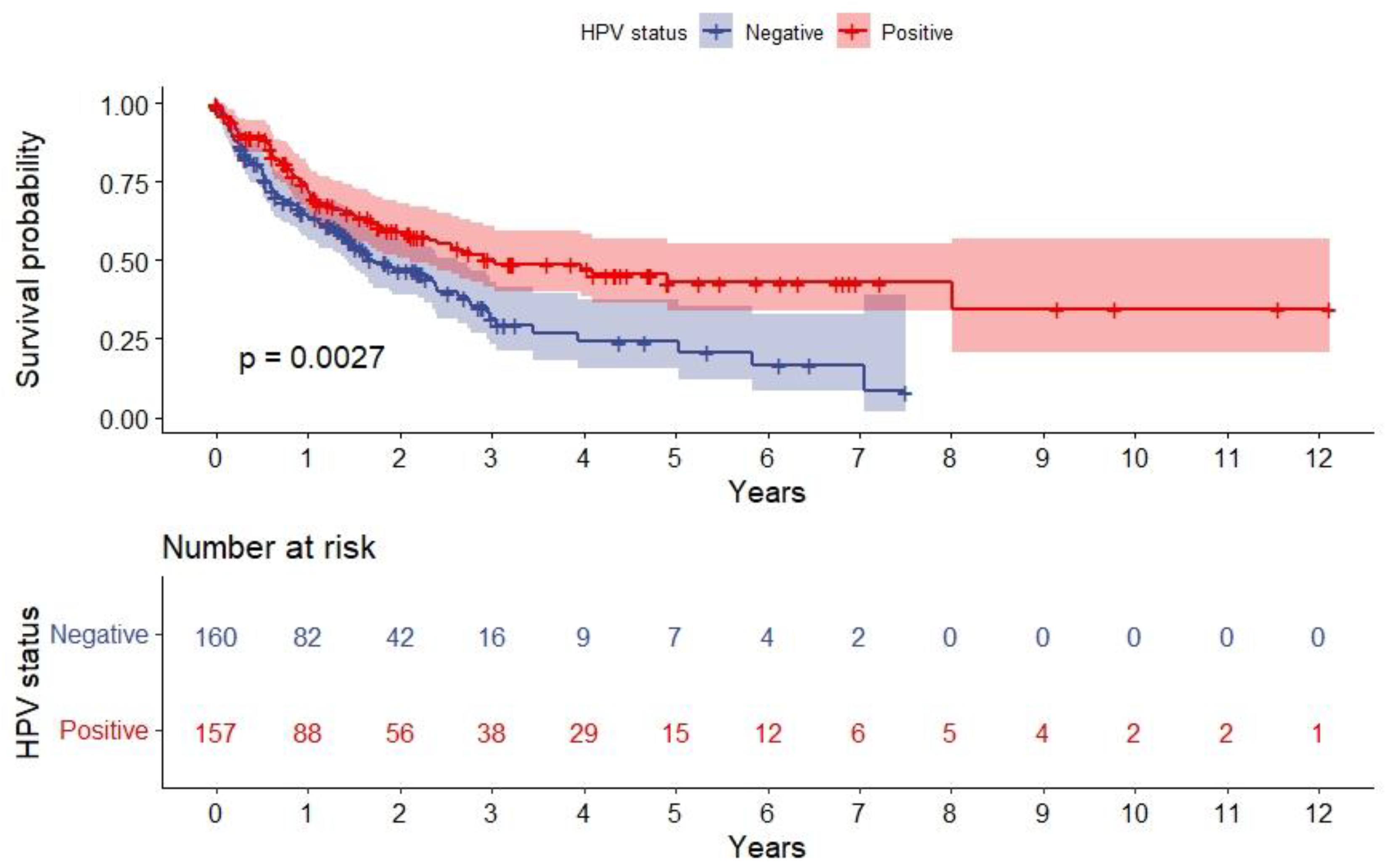 Viruses 15 00034 g002