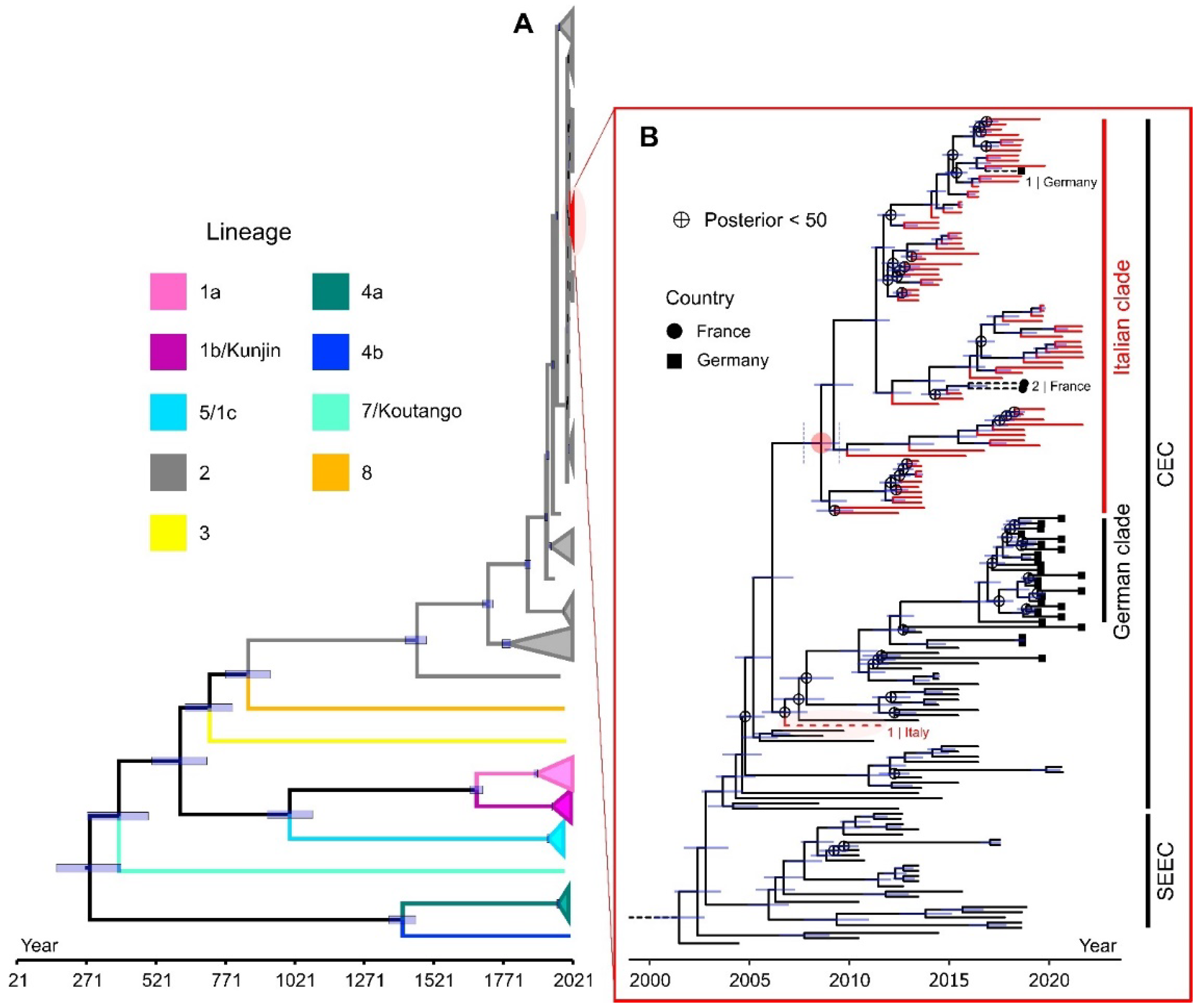 Viruses 15 00035 g003 Viruses 15 00035 g003