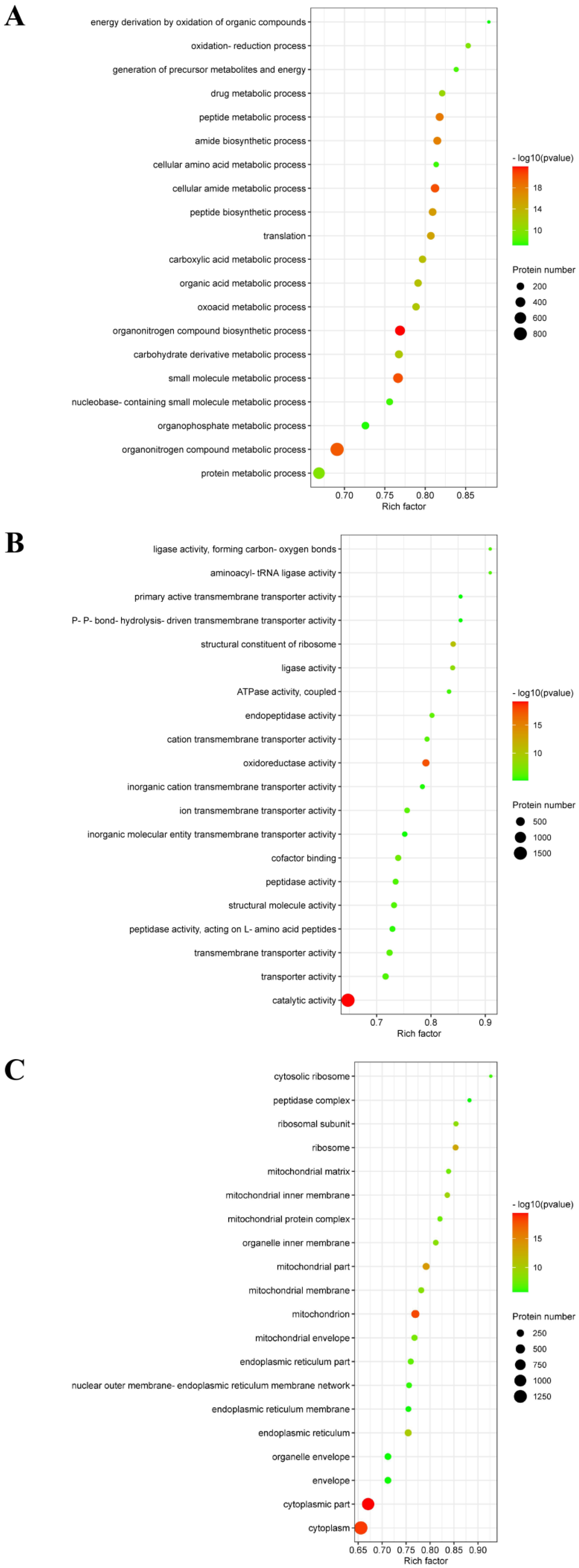 Viruses 15 00036 g004 Viruses 15 00036 g004